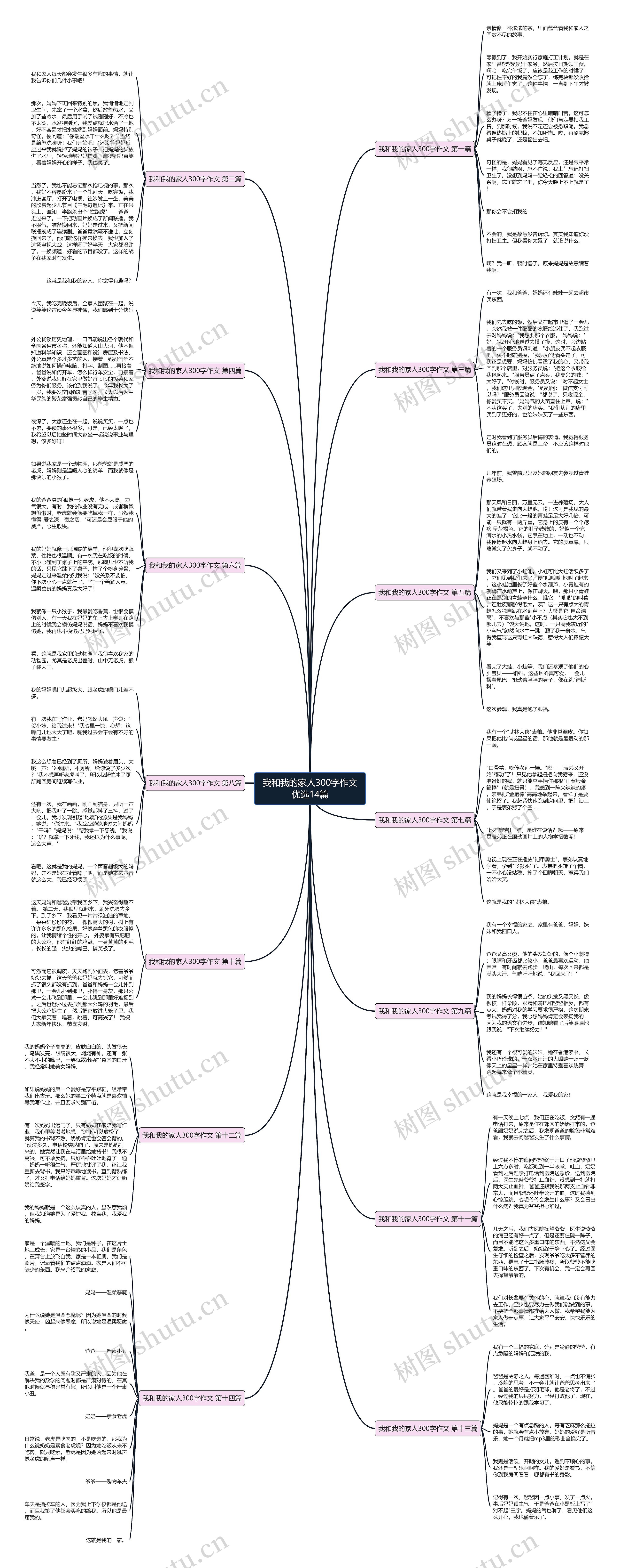 我和我的家人300字作文优选14篇