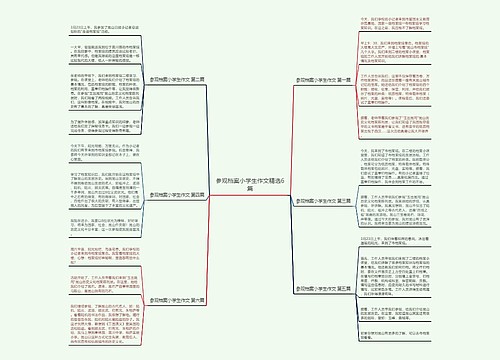 参观档案小学生作文精选6篇