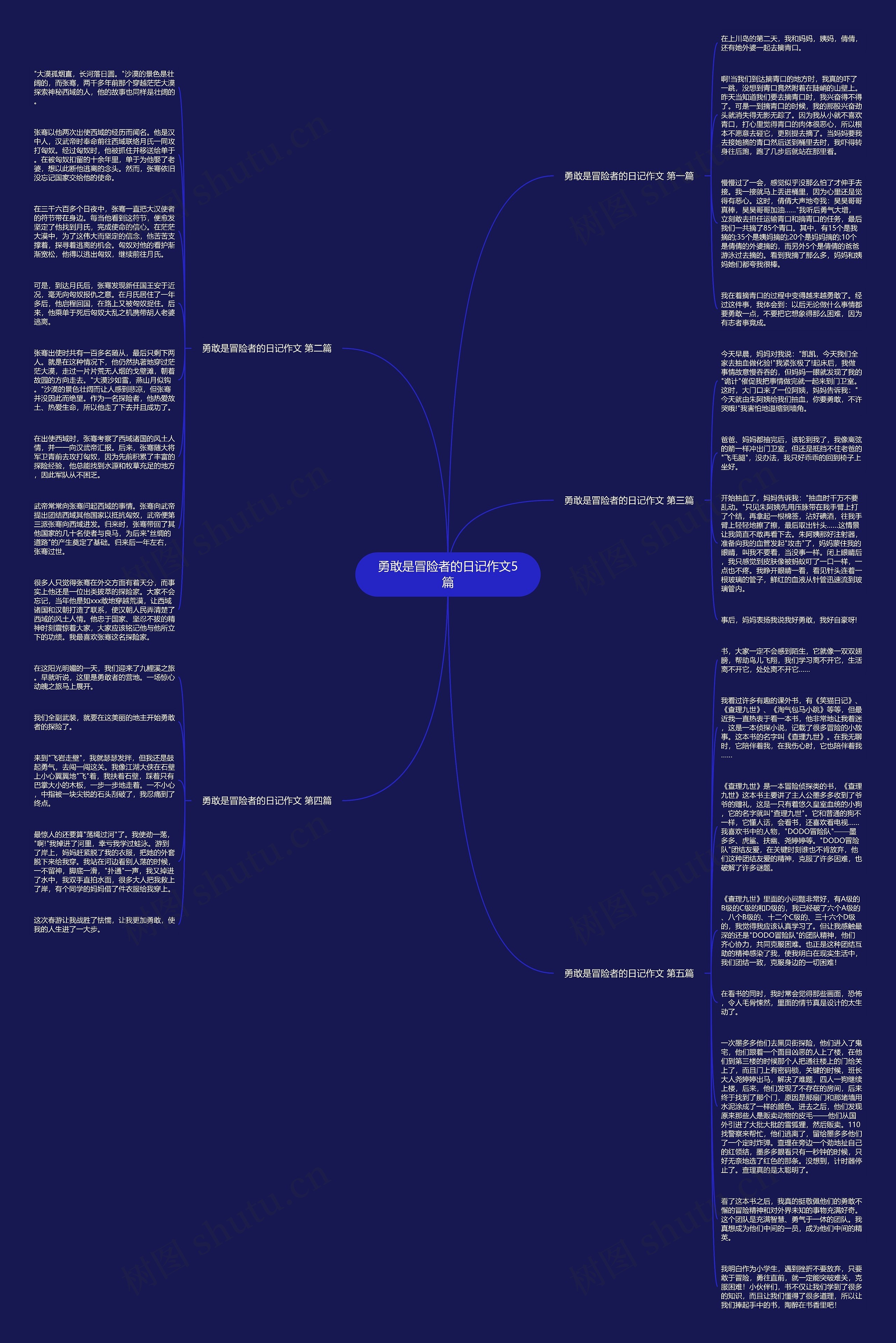 勇敢是冒险者的日记作文5篇思维导图