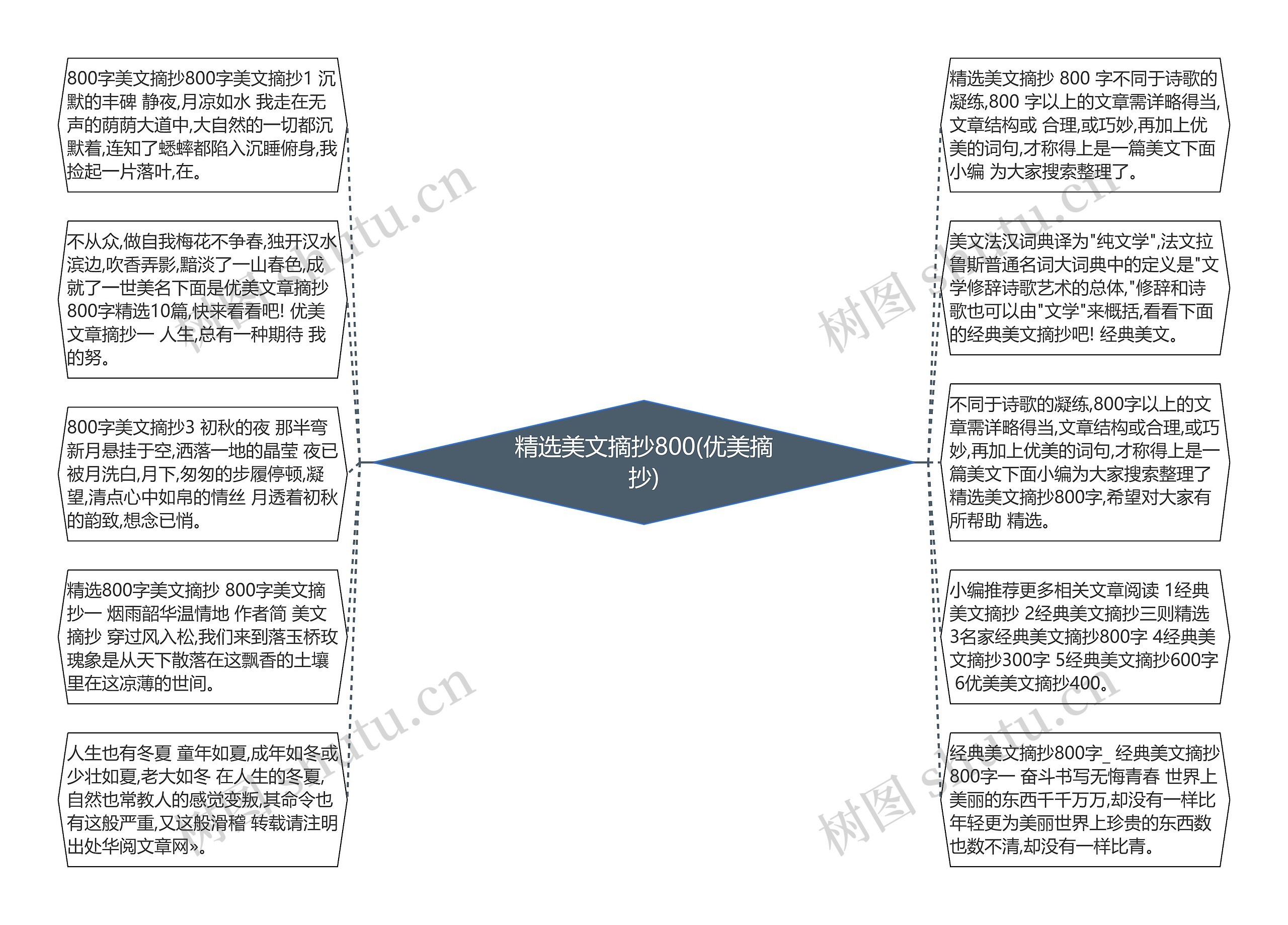 精选美文摘抄800(优美摘抄)思维导图