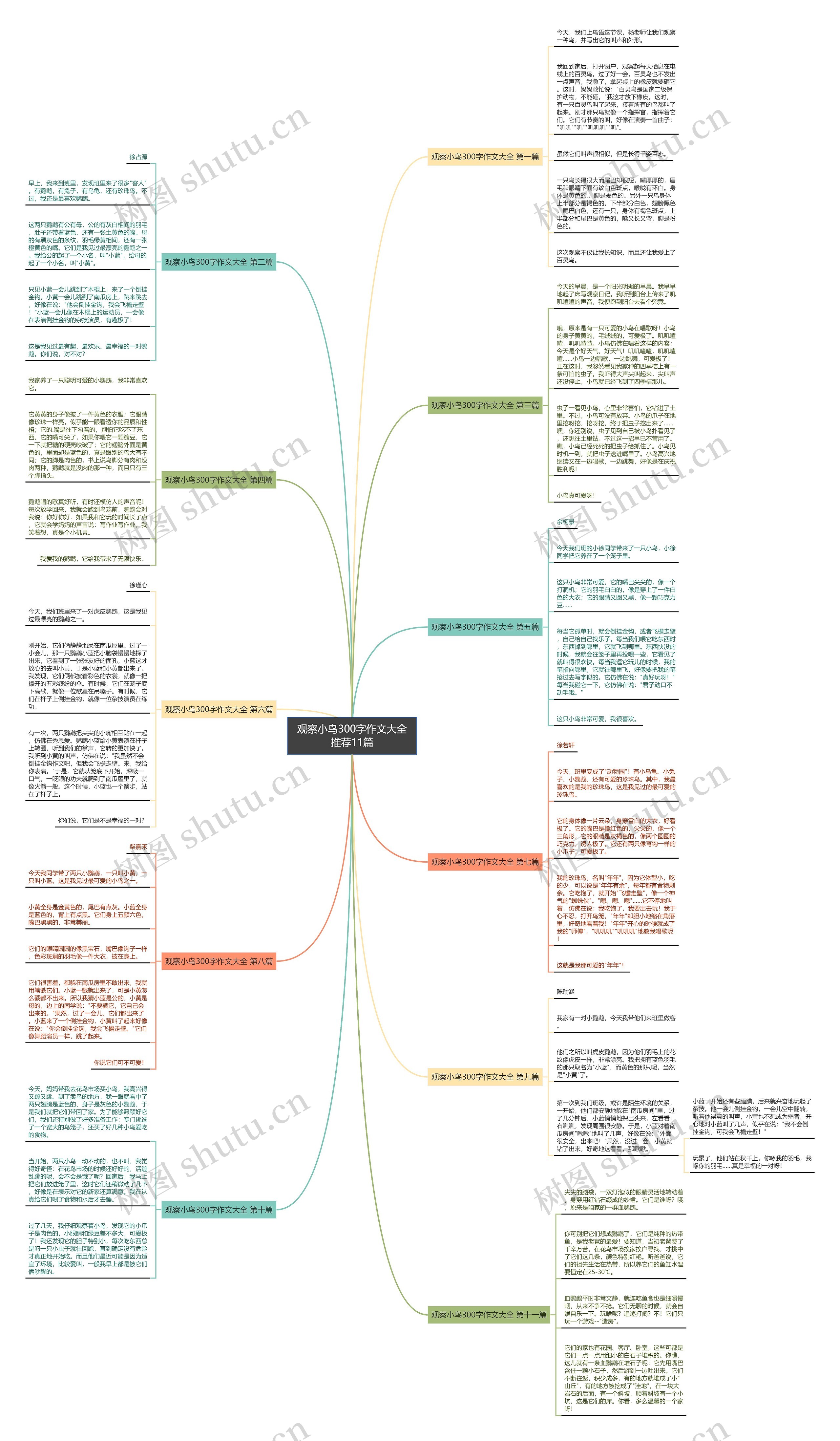 观察小鸟300字作文大全推荐11篇思维导图