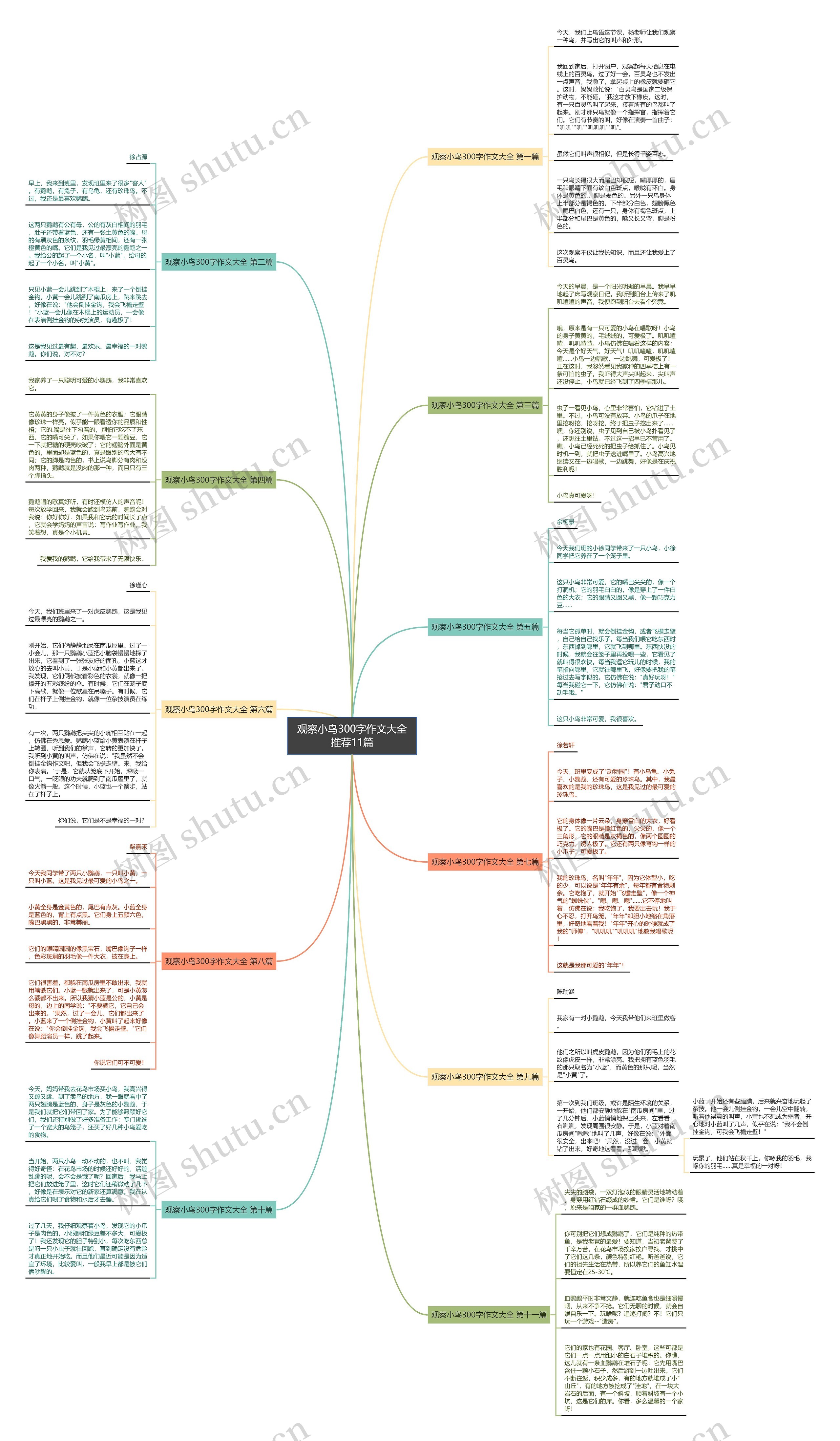 观察小鸟300字作文大全推荐11篇 观察小鸟300字作文大全推荐11篇