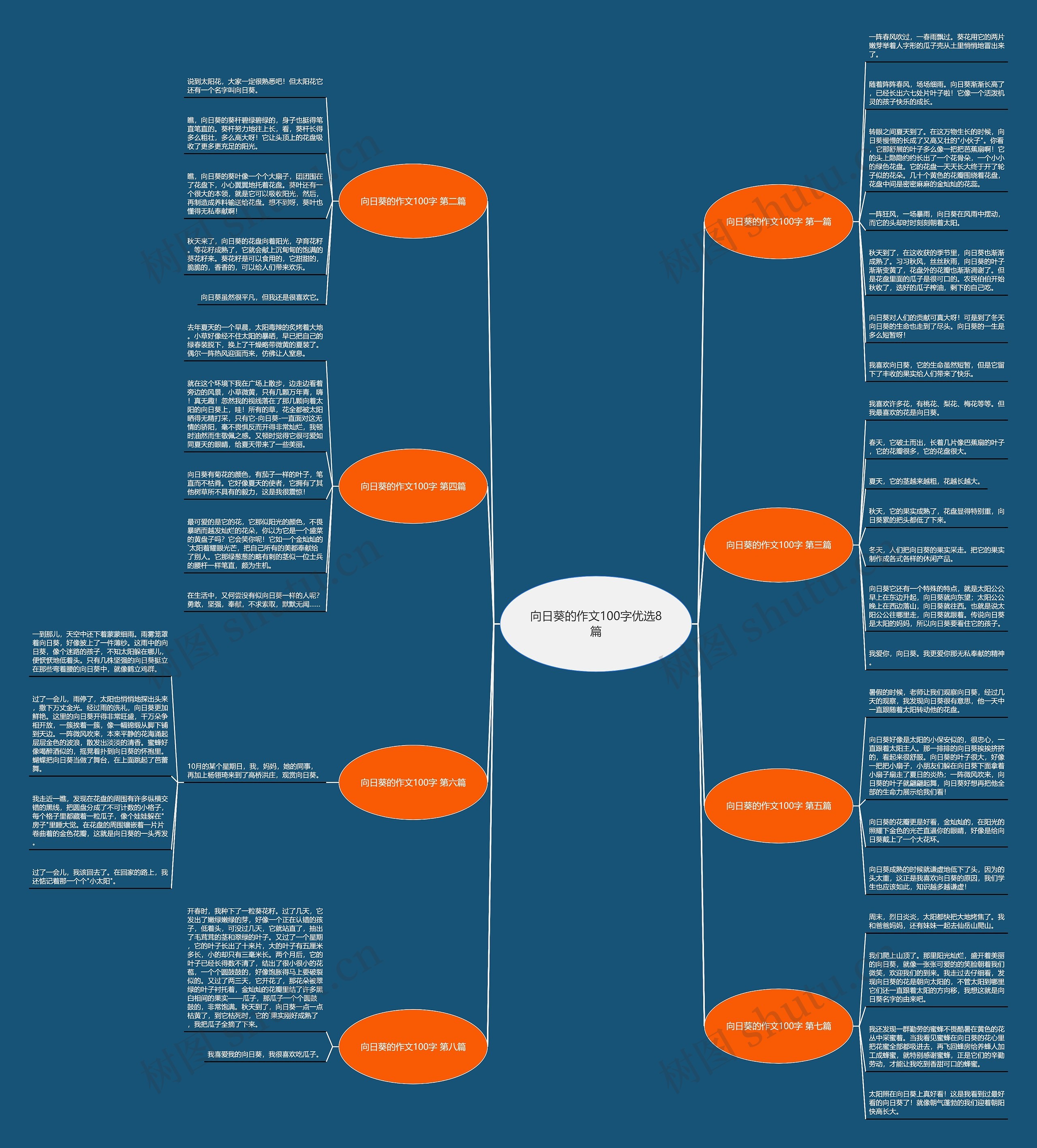 向日葵的作文100字优选8篇思维导图