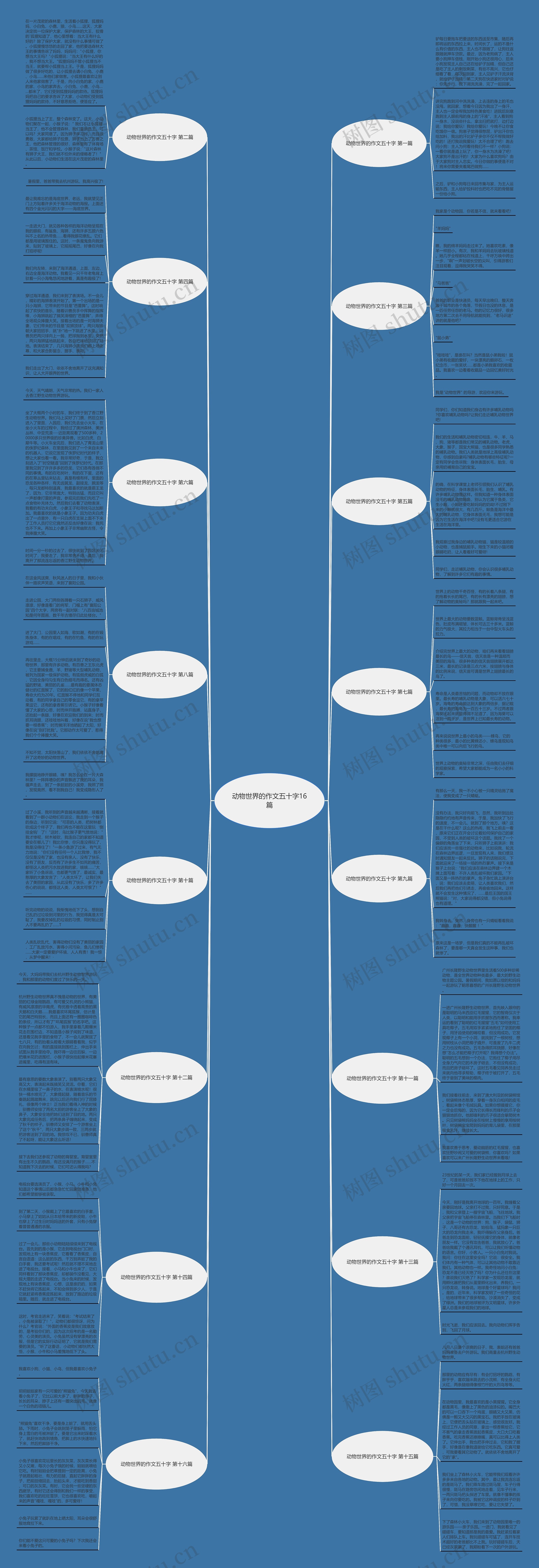 动物世界的作文五十字16篇思维导图