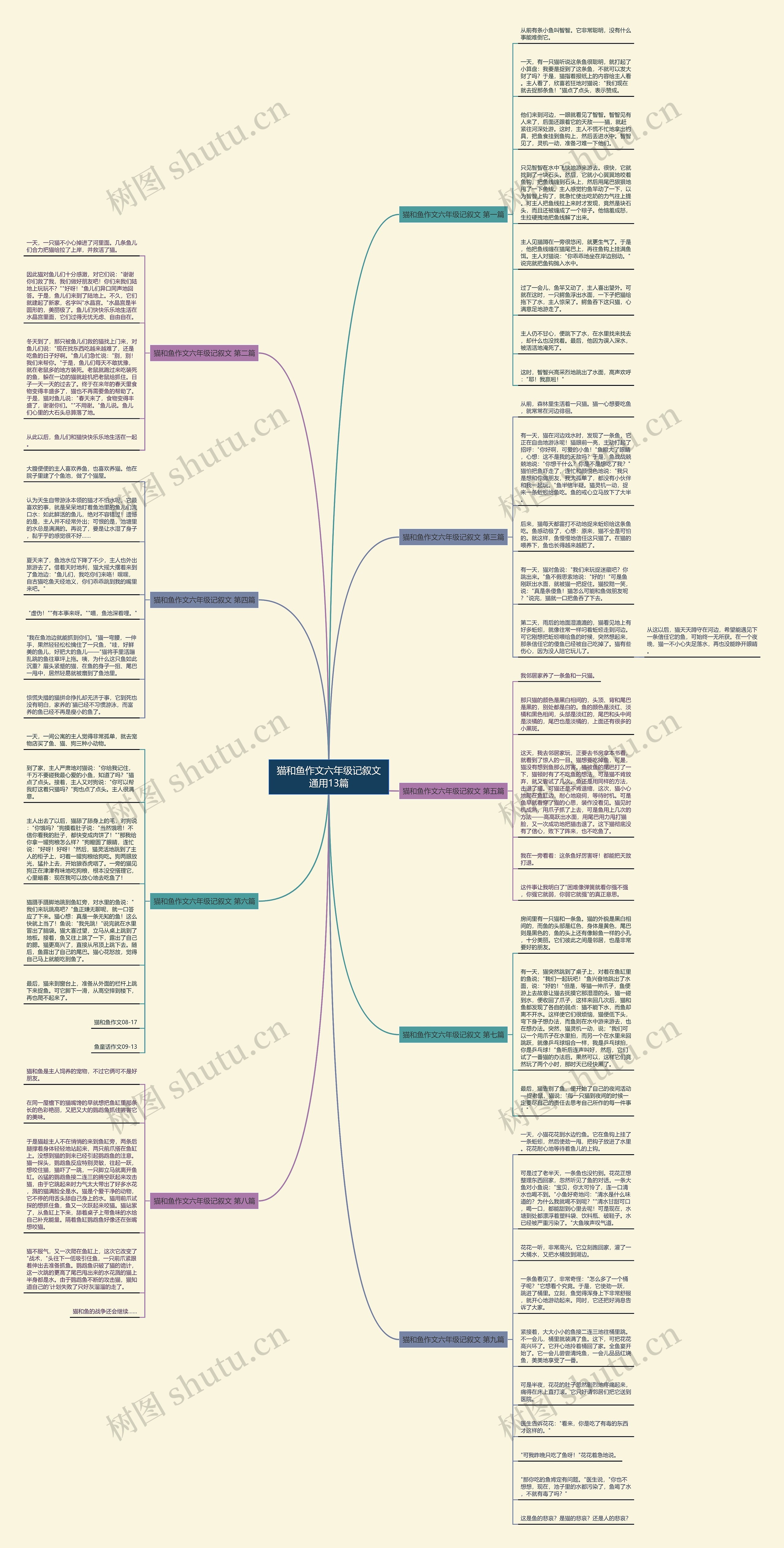 猫和鱼作文六年级记叙文通用13篇思维导图