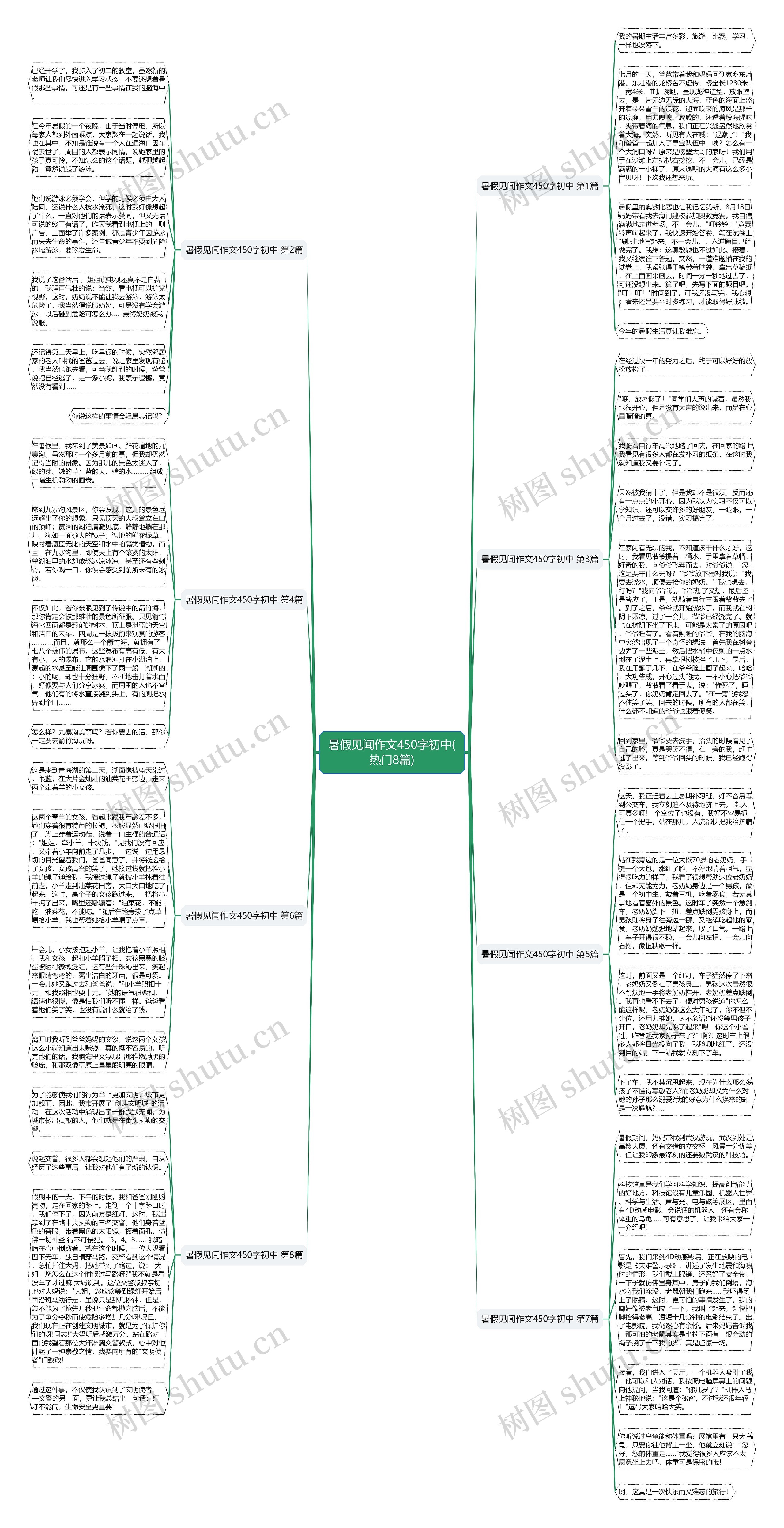 暑假见闻作文450字初中(热门8篇)思维导图