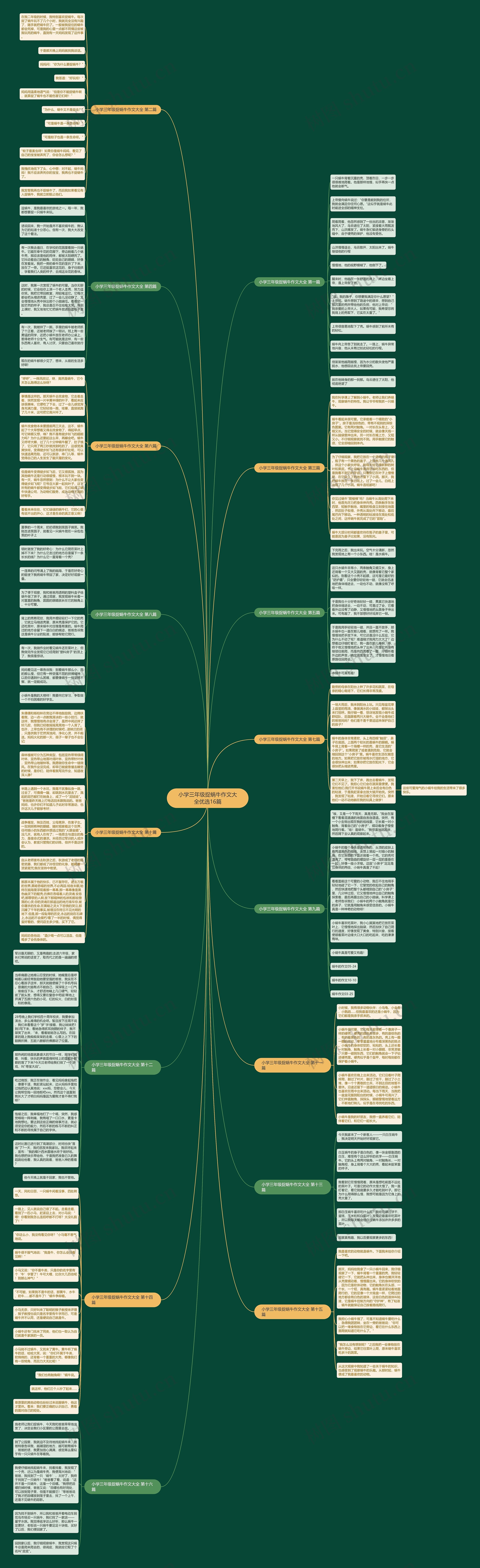 小学三年级捉蜗牛作文大全优选16篇思维导图