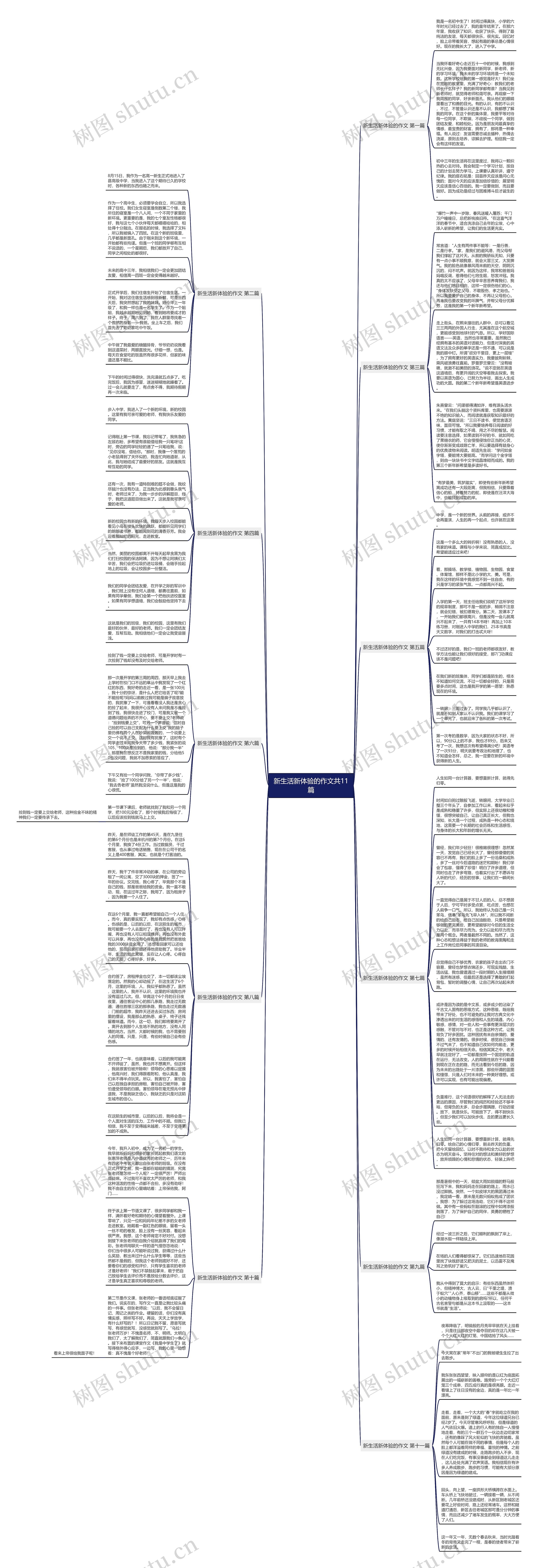 新生活新体验的作文共11篇思维导图高清图 新生活新体验的作文共11篇思维导图