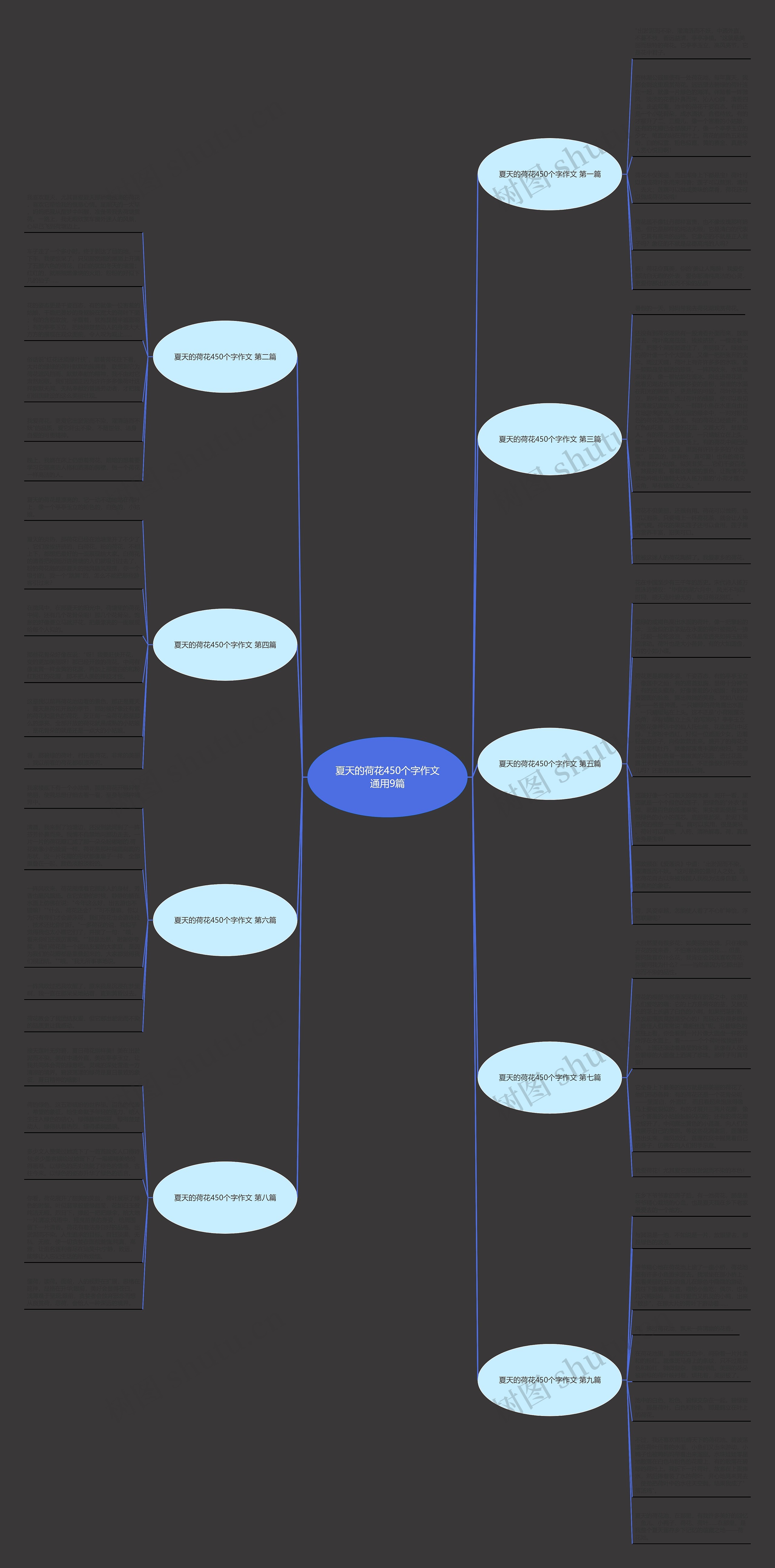 夏天的荷花450个字作文通用9篇思维导图