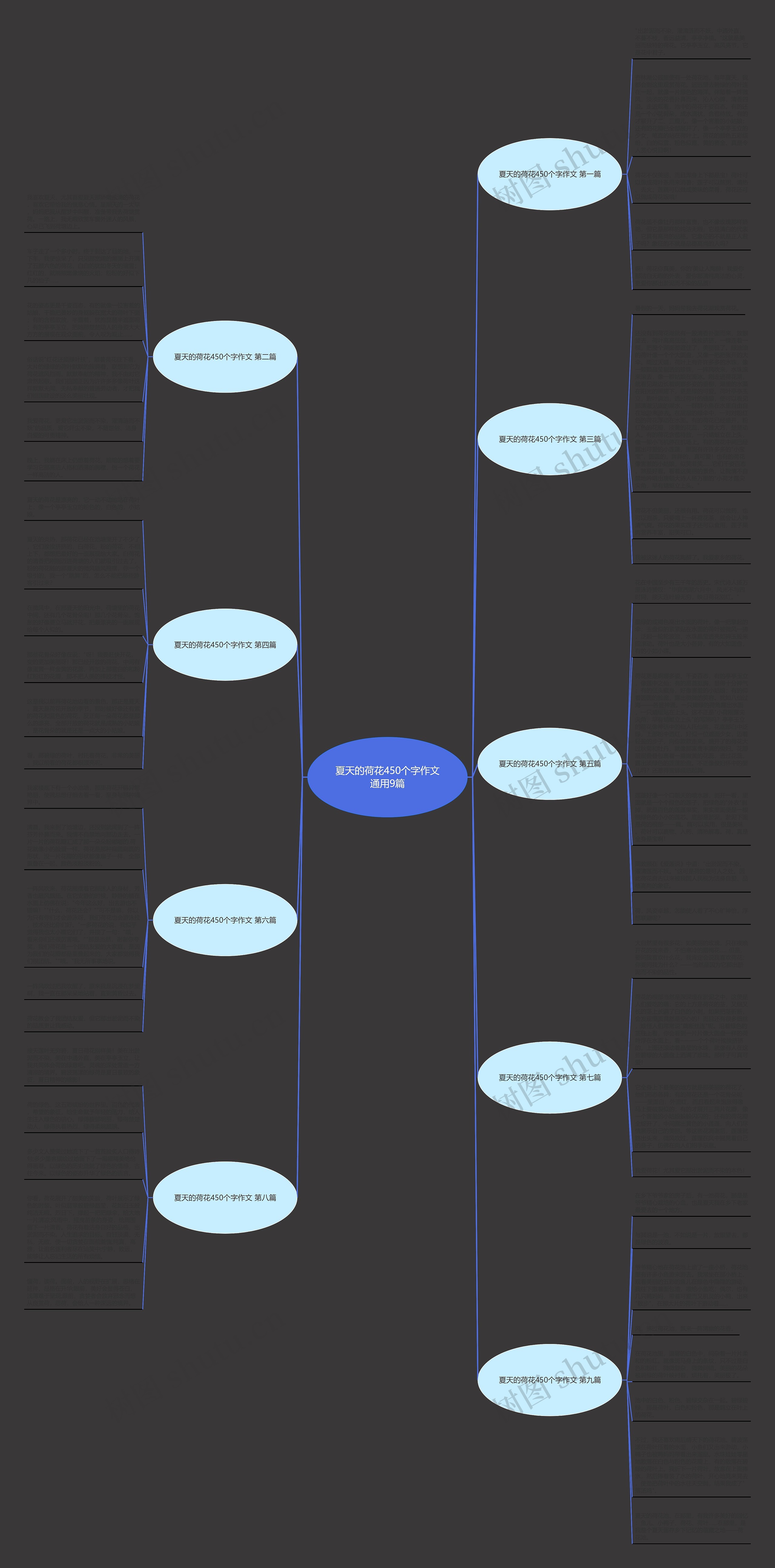 夏天的荷花450个字作文通用9篇 夏天的荷花450个字作文通用9篇