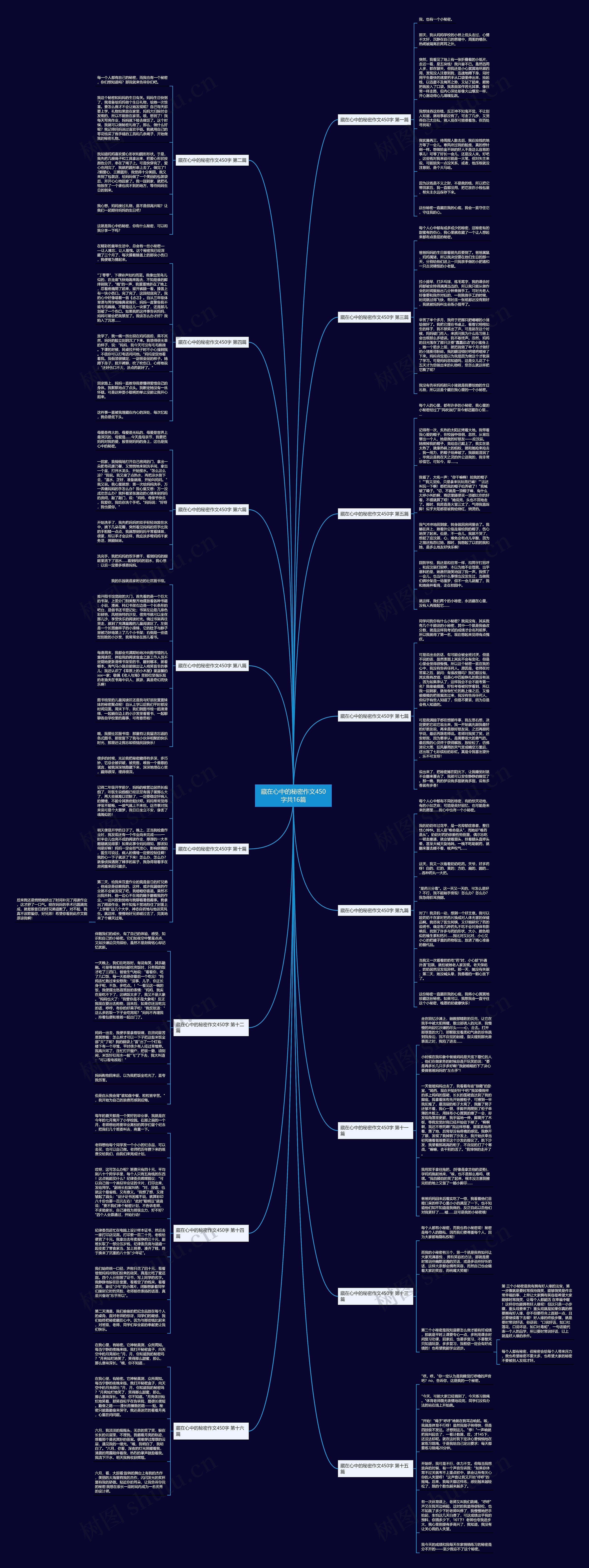 藏在心中的秘密作文450字共16篇