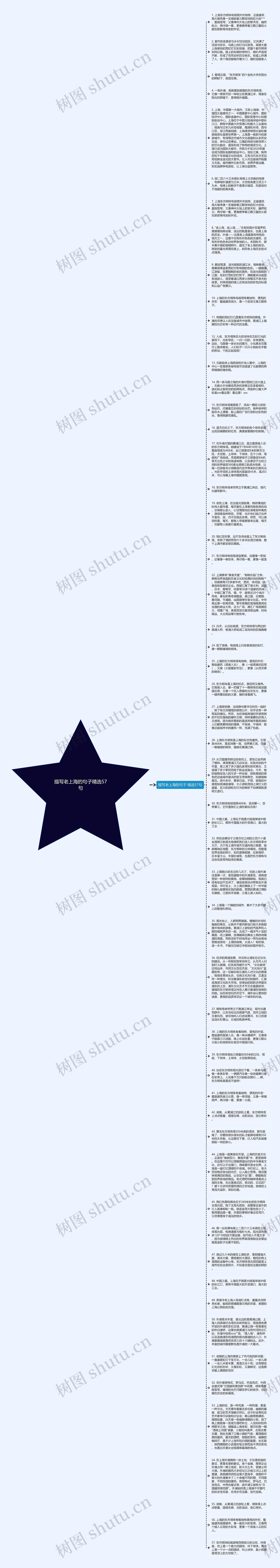 描写老上海的句子精选57句思维导图