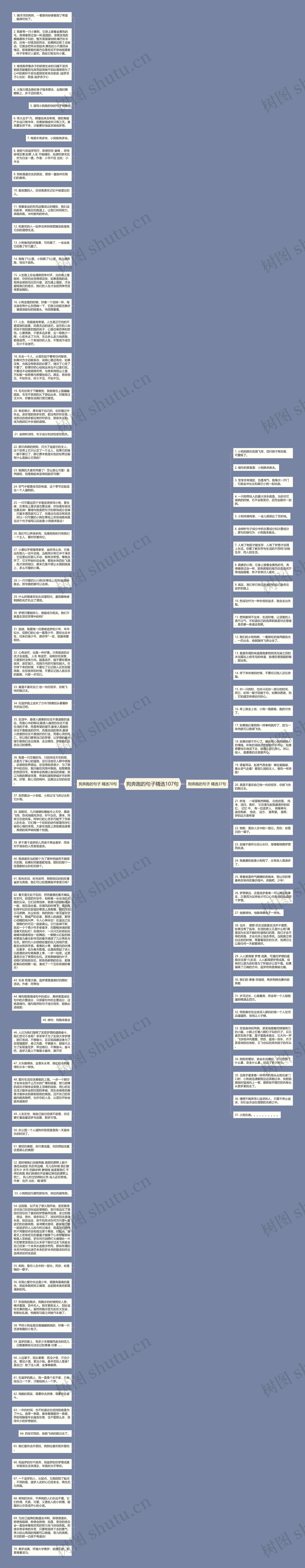 狗奔跑的句子精选107句思维导图