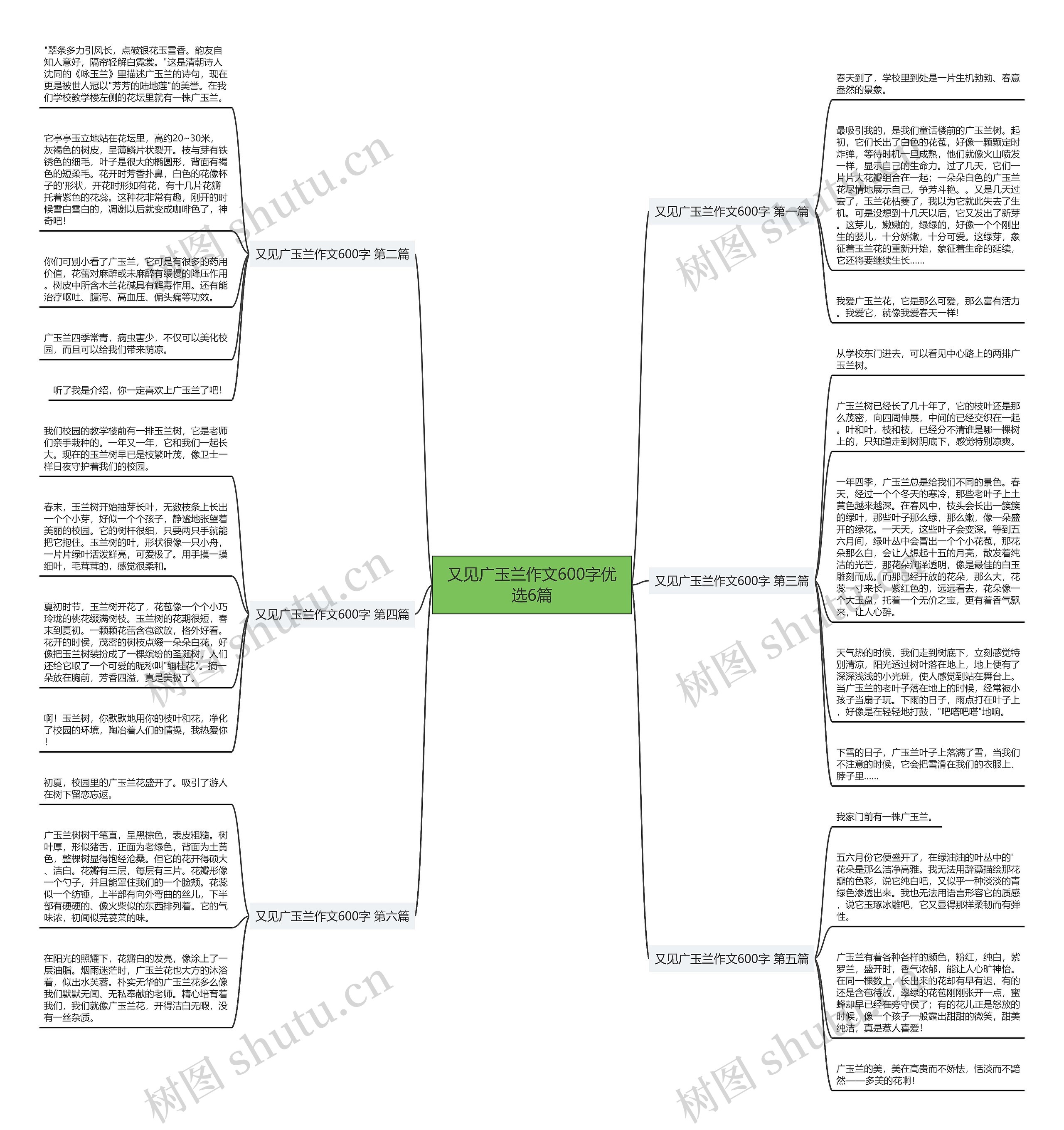 又见广玉兰作文600字优选6篇 又见广玉兰作文600字优选6篇