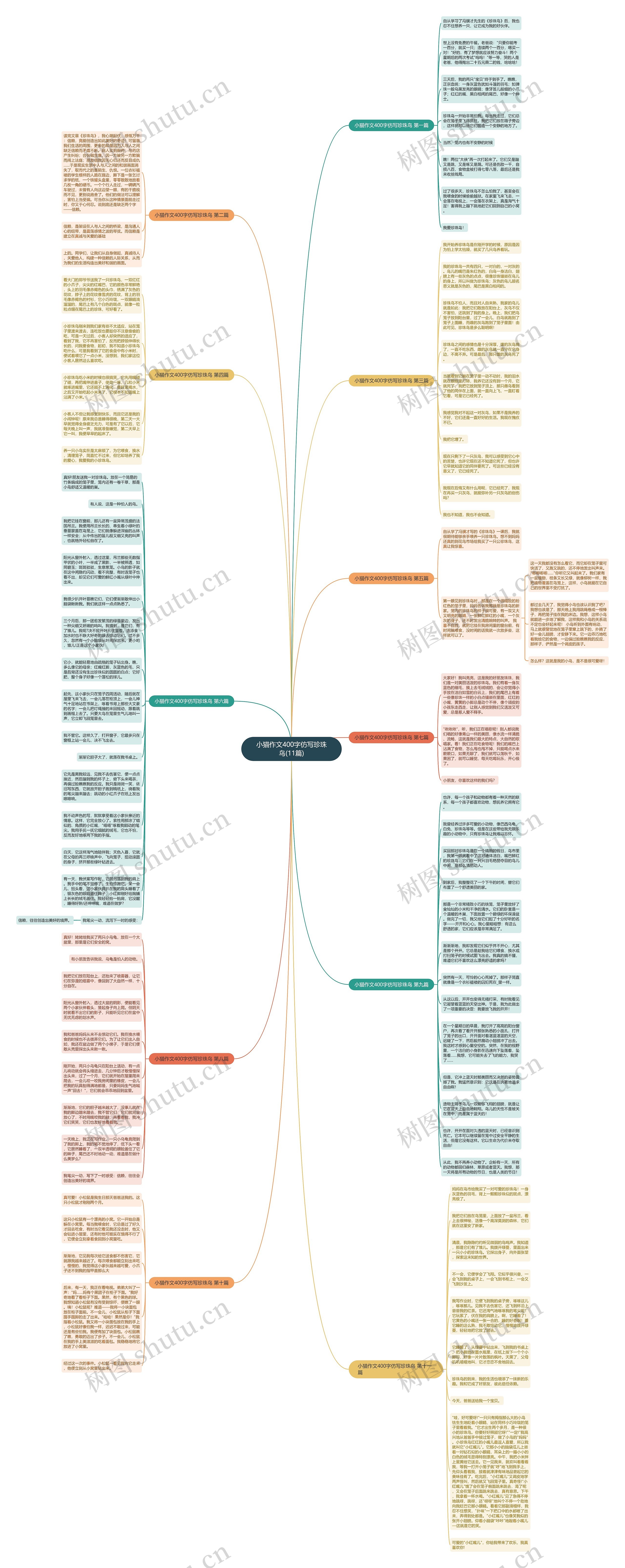 小猫作文400字仿写珍珠鸟(11篇)思维导图