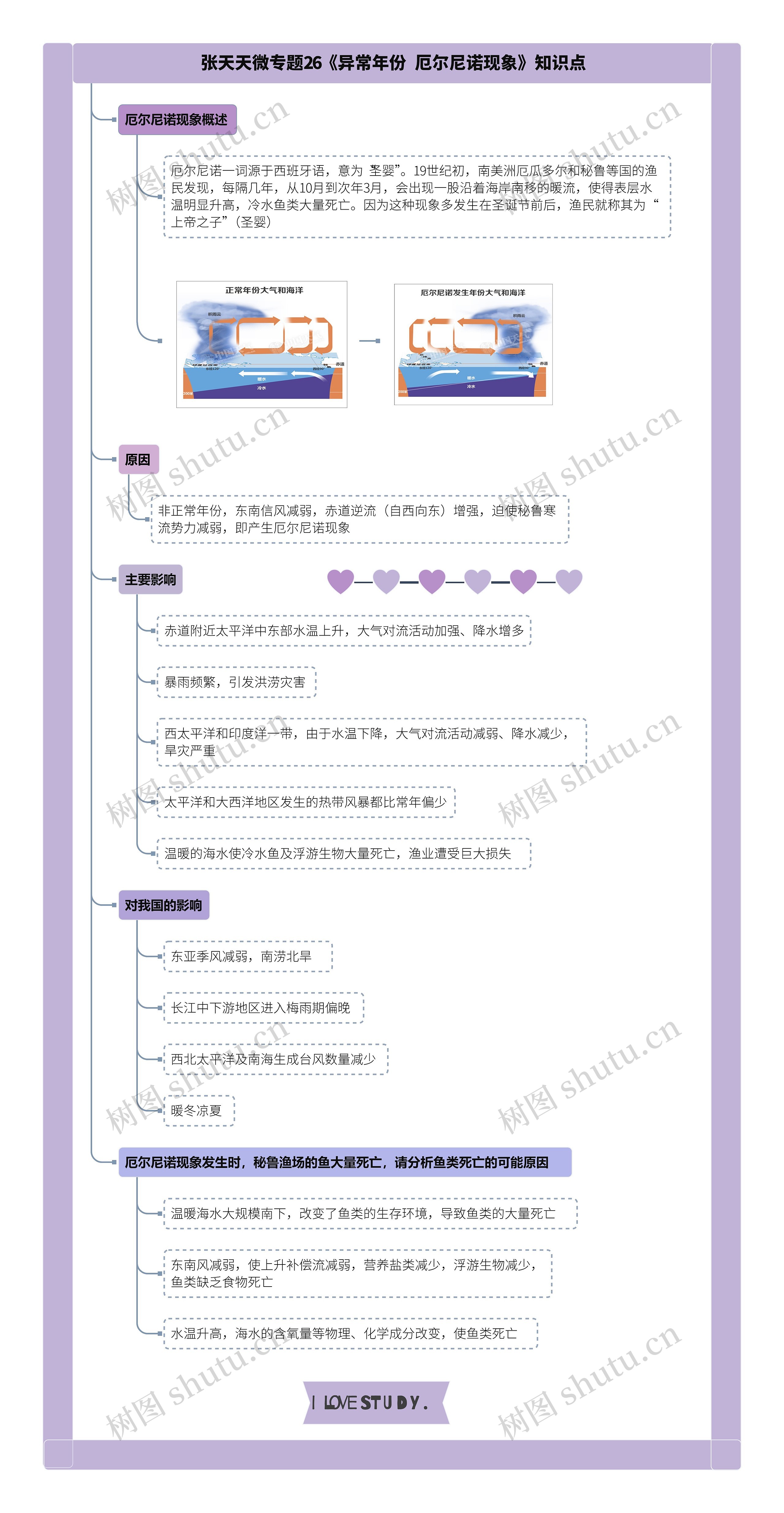 张天天微专题26《异常年份  厄尔尼诺现象》知识点思维导图