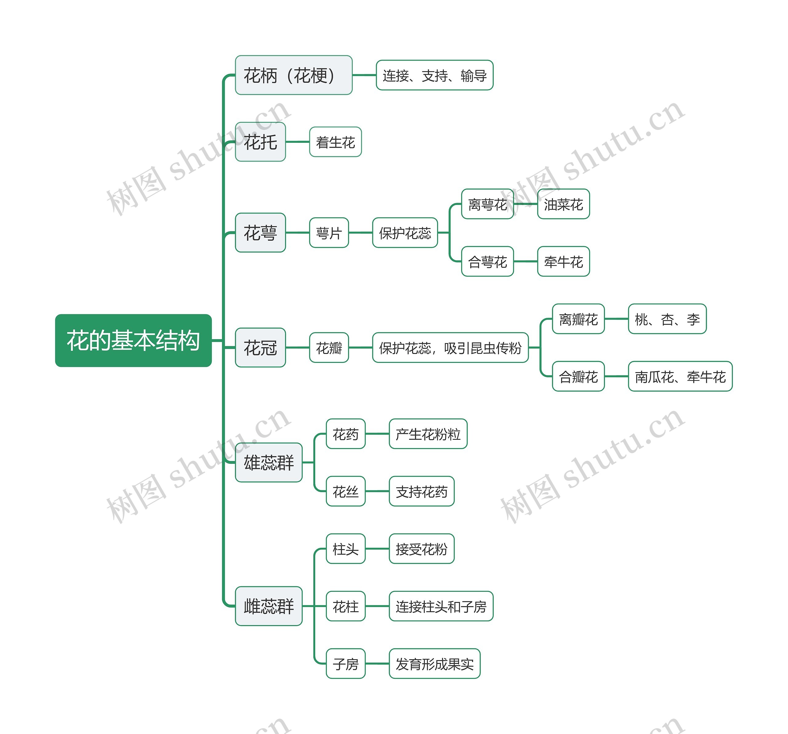 花的基本结构