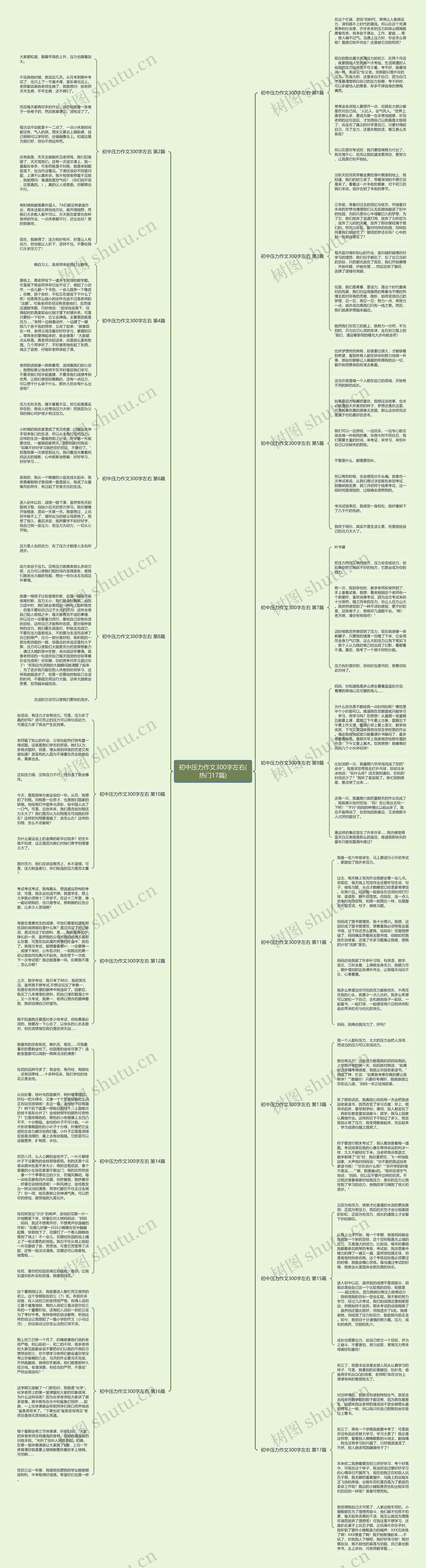 初中压力作文300字左右(热门17篇)思维导图