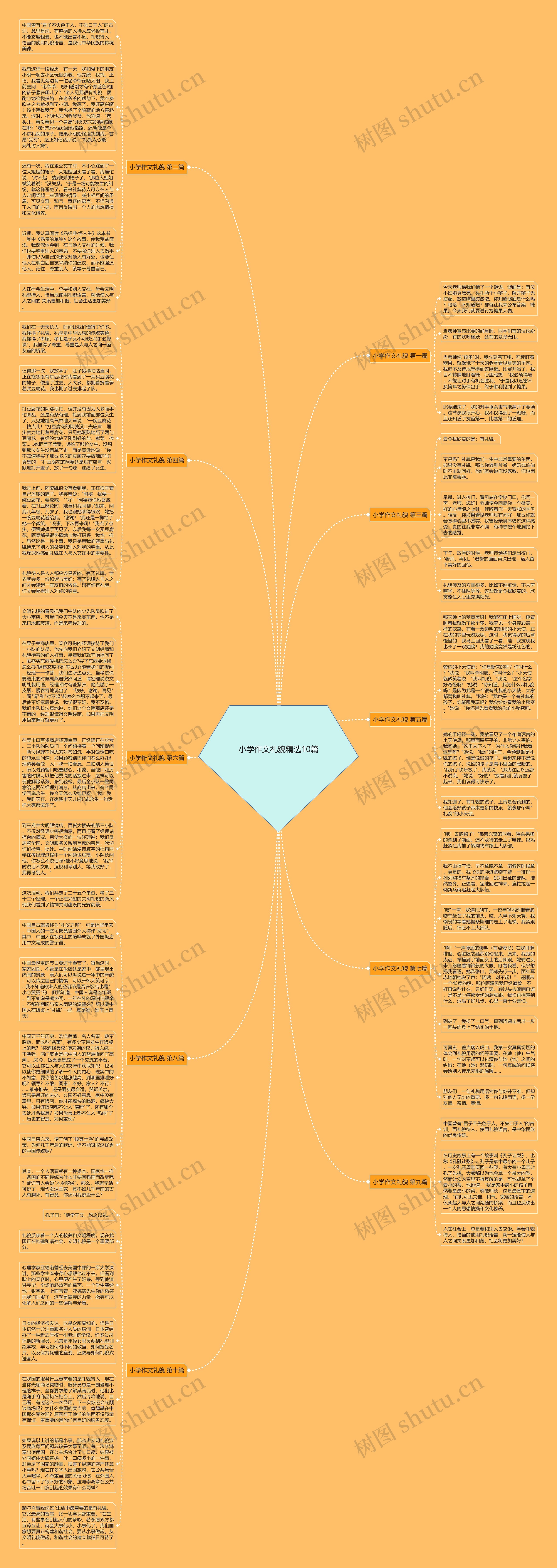 小学作文礼貌精选10篇思维导图