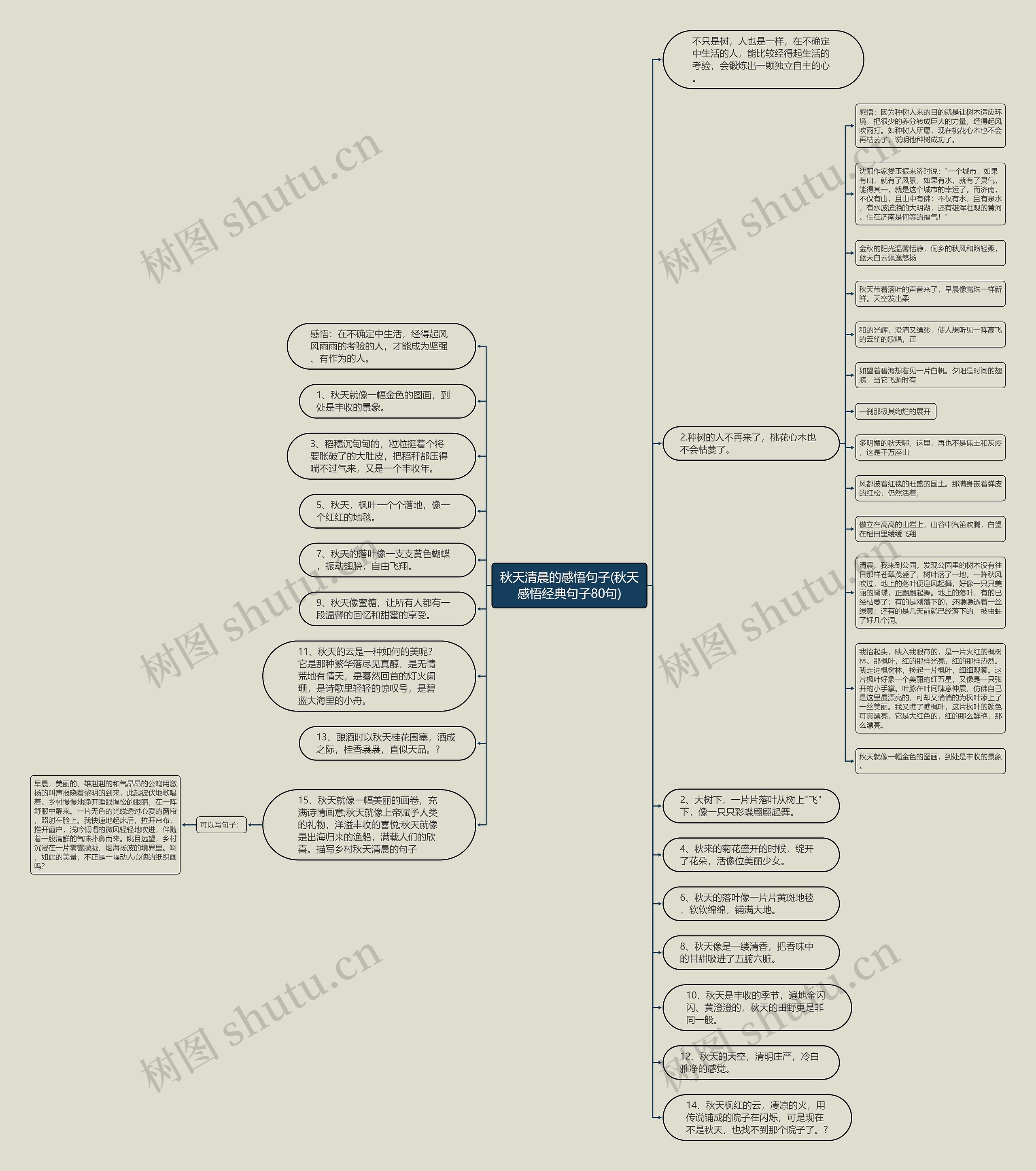 秋天清晨的感悟句子(秋天感悟经典句子80句)思维导图