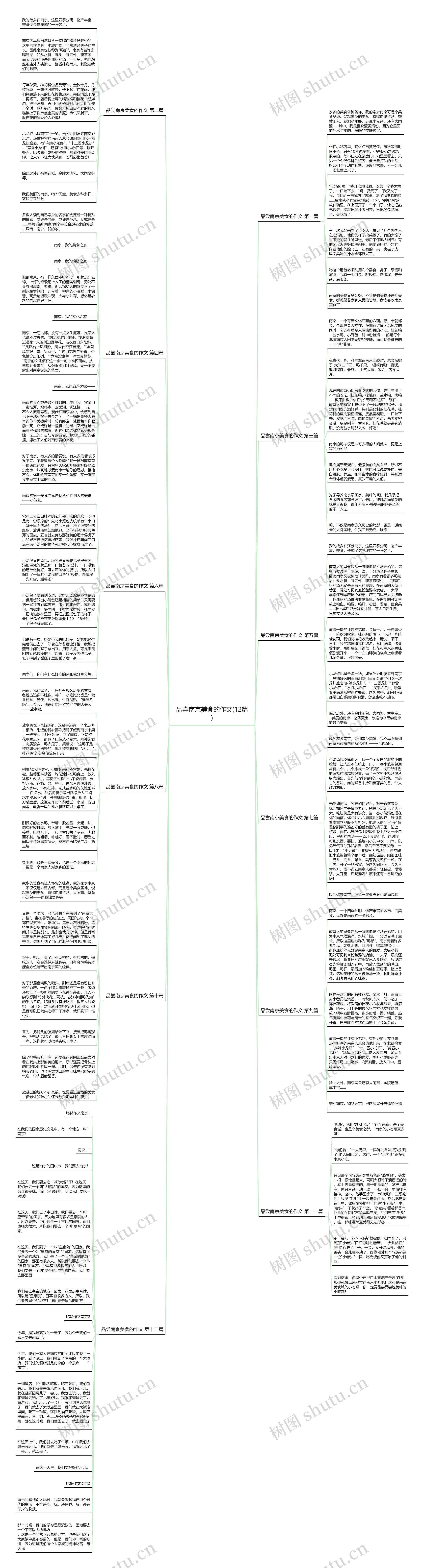 品尝南京美食的作文(12篇)思维导图