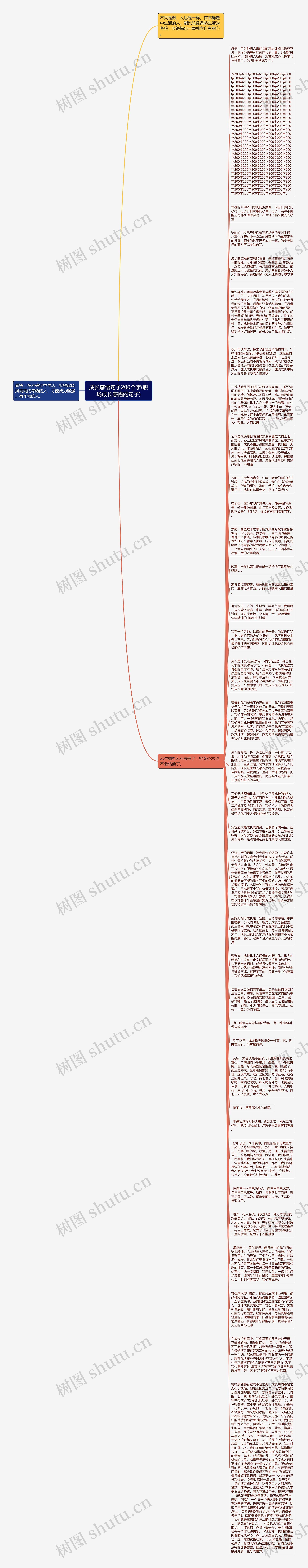 成长感悟句子200个字(职场成长感悟的句子)