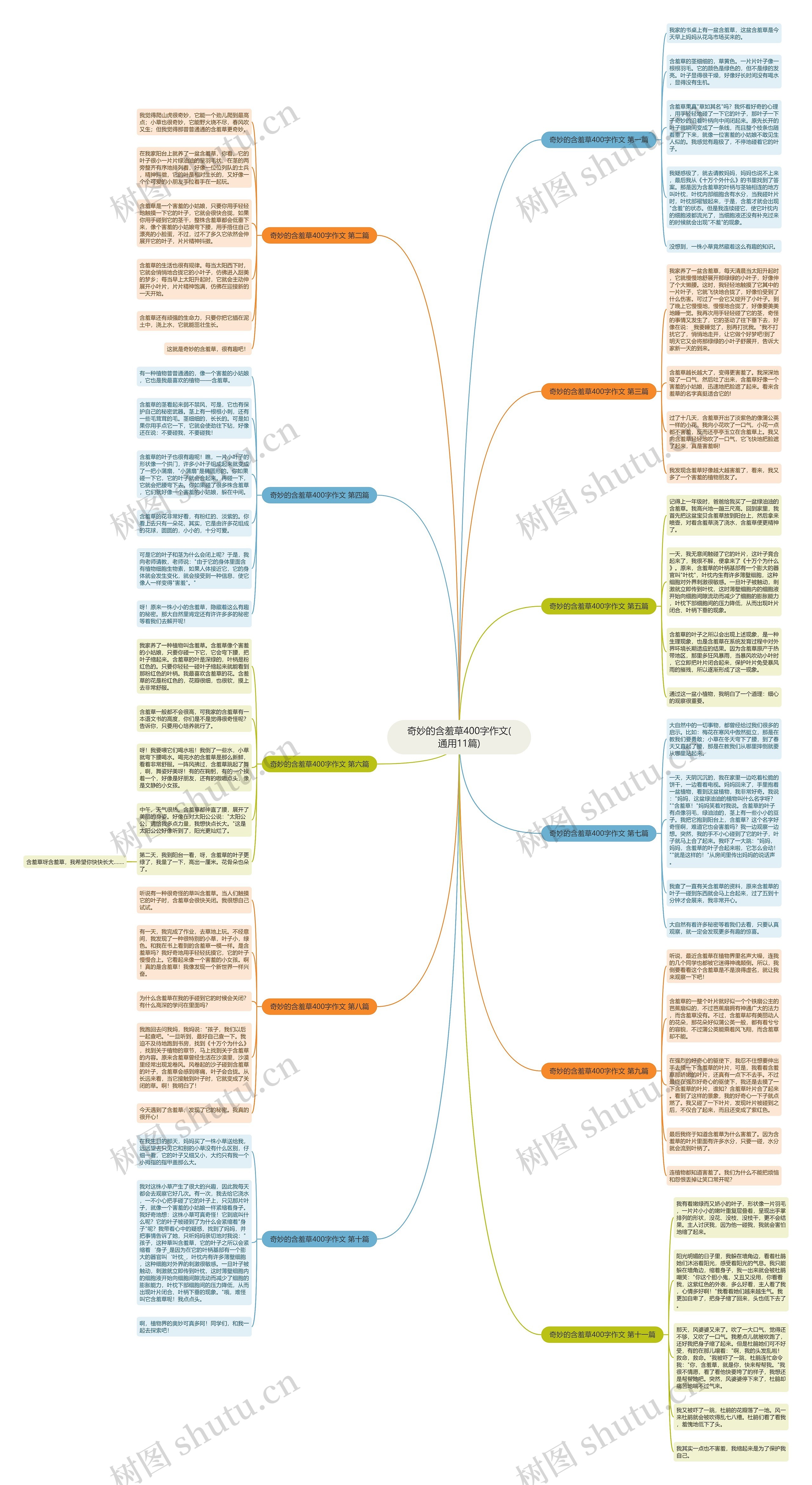 奇妙的含羞草400字作文(通用11篇)思维导图