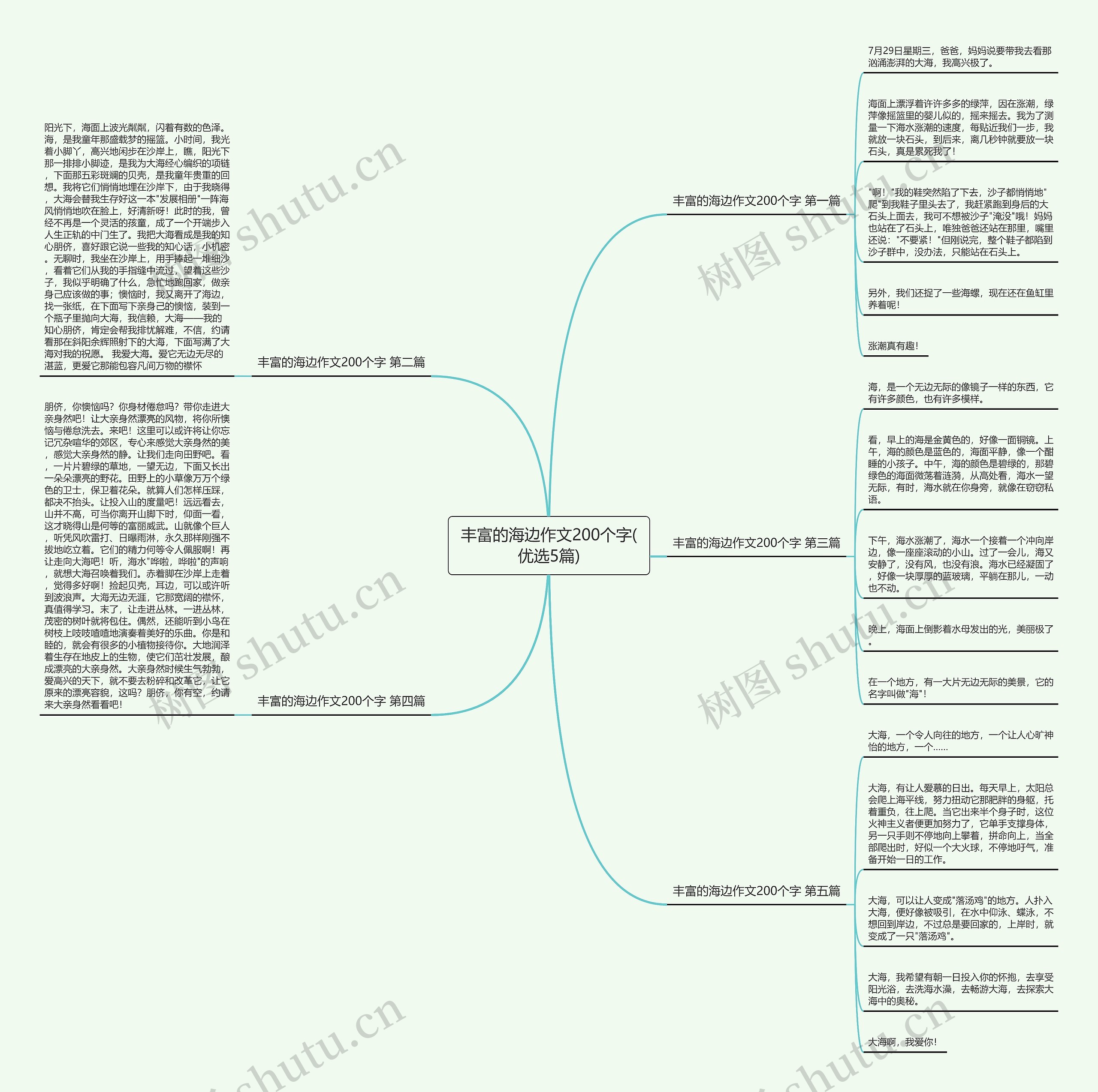 丰富的海边作文200个字(优选5篇)思维导图