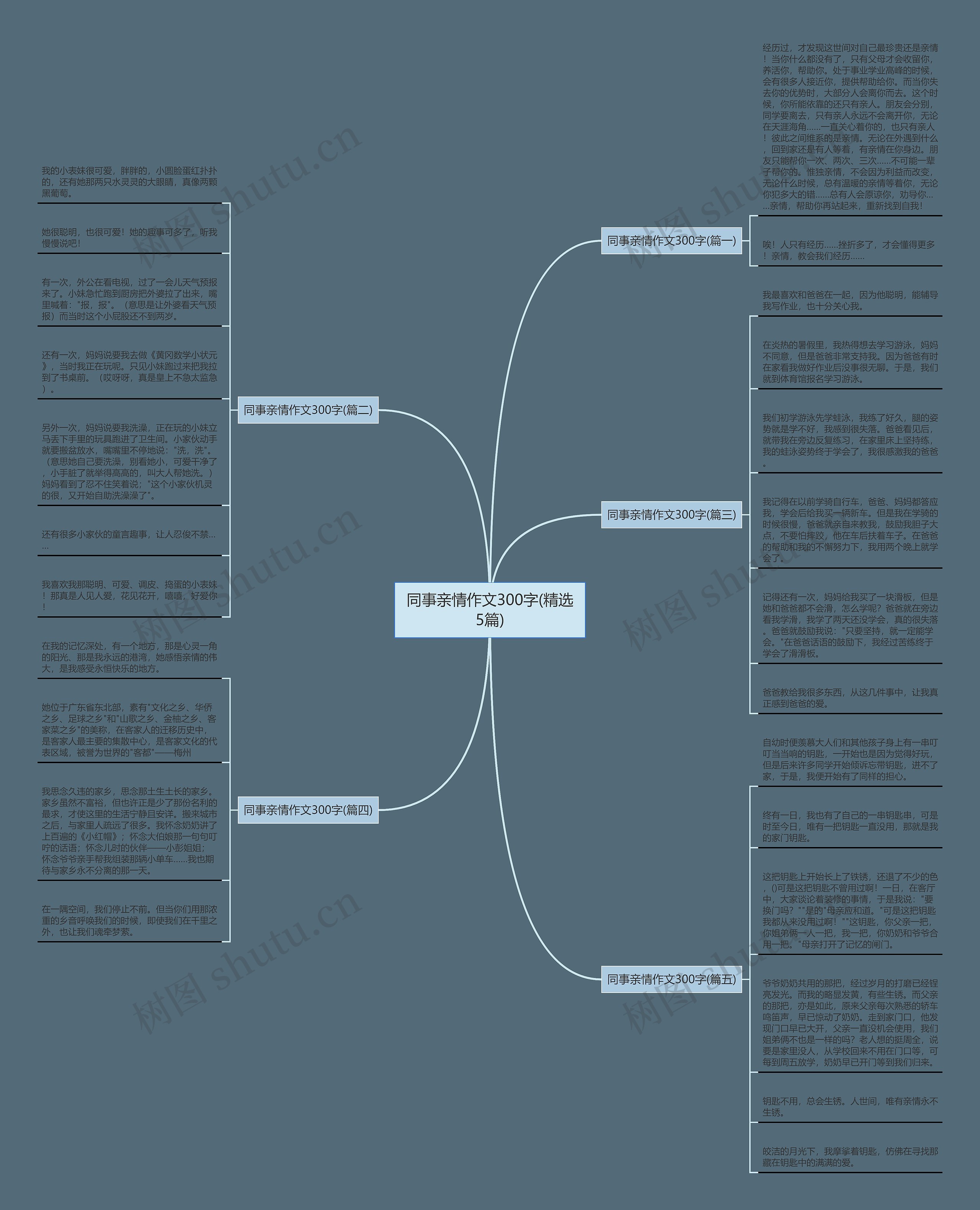 同事亲情作文300字(精选5篇)思维导图