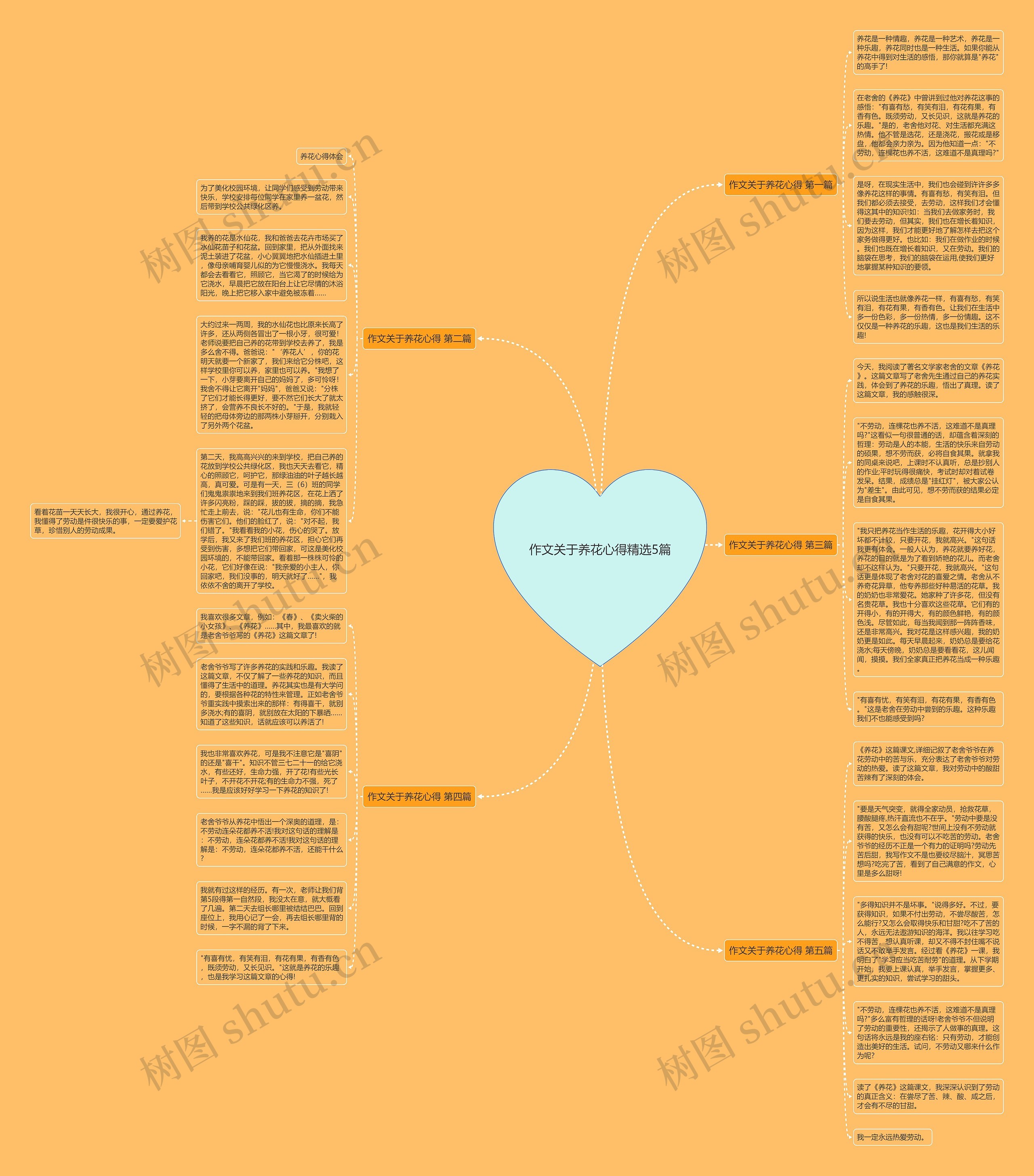 作文关于养花心得精选5篇思维导图
