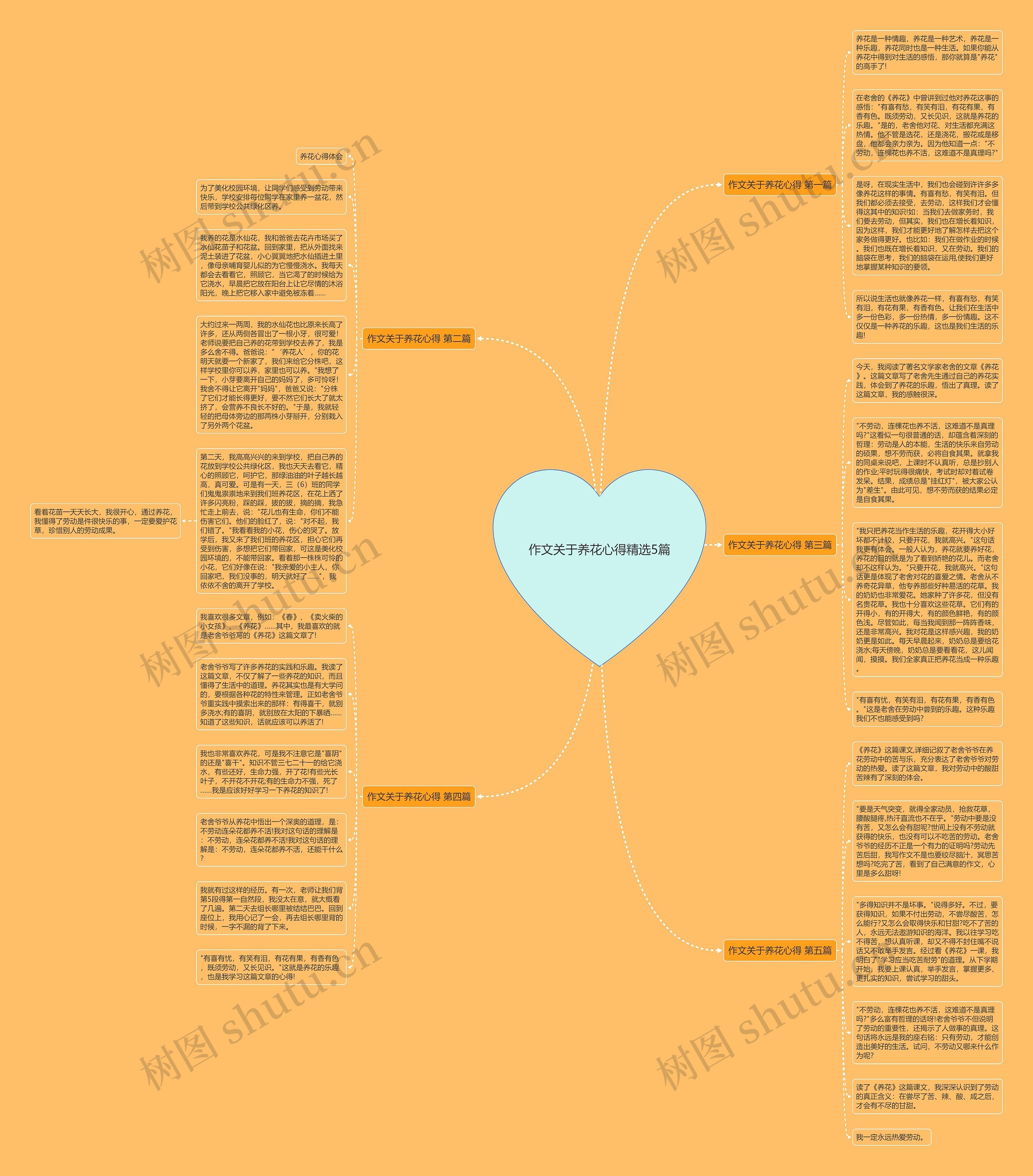 作文关于养花心得精选5篇 作文关于养花心得精选5篇