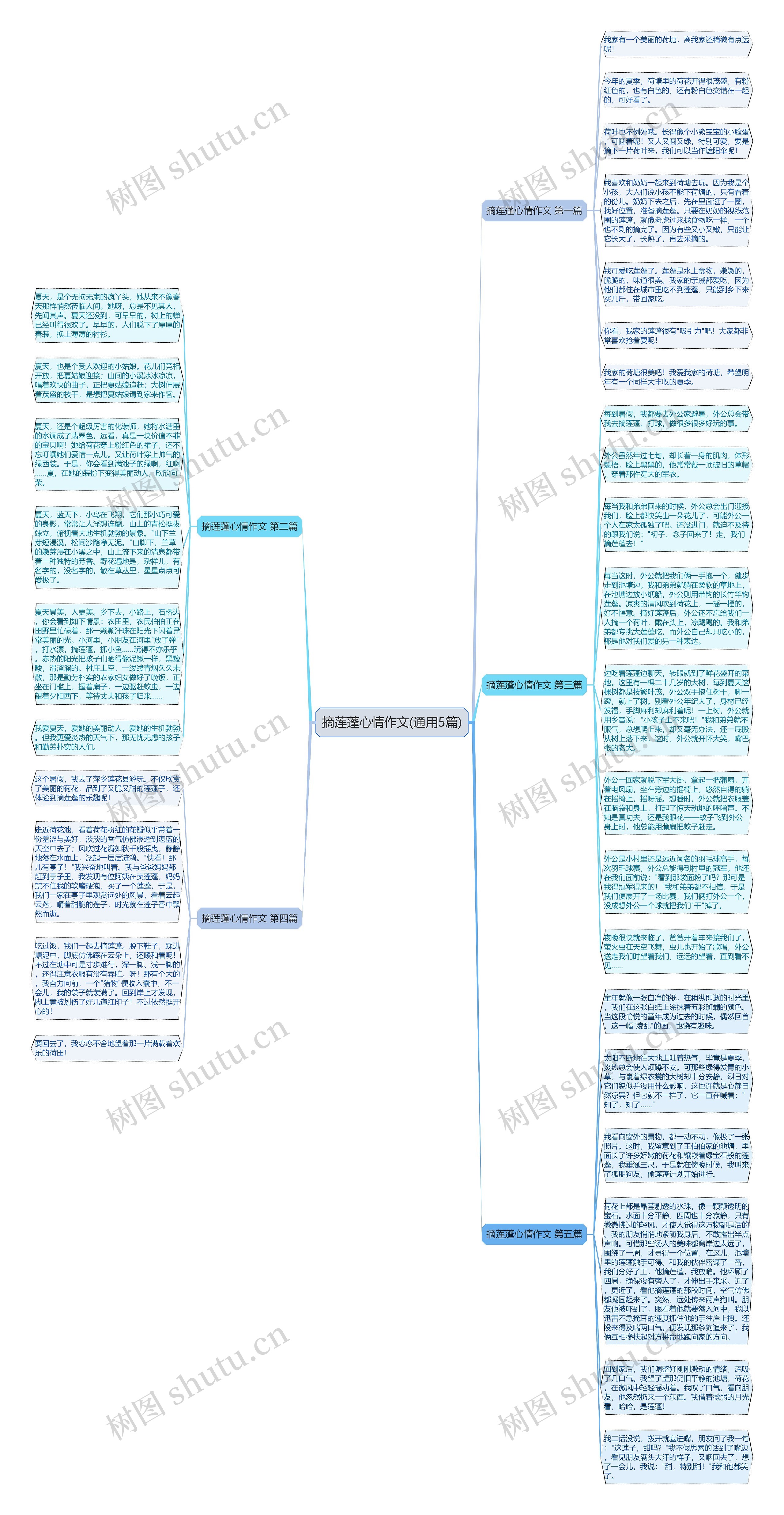 摘莲蓬心情作文(通用5篇)思维导图高清图 摘莲蓬心情作文(通用5篇)思维导图