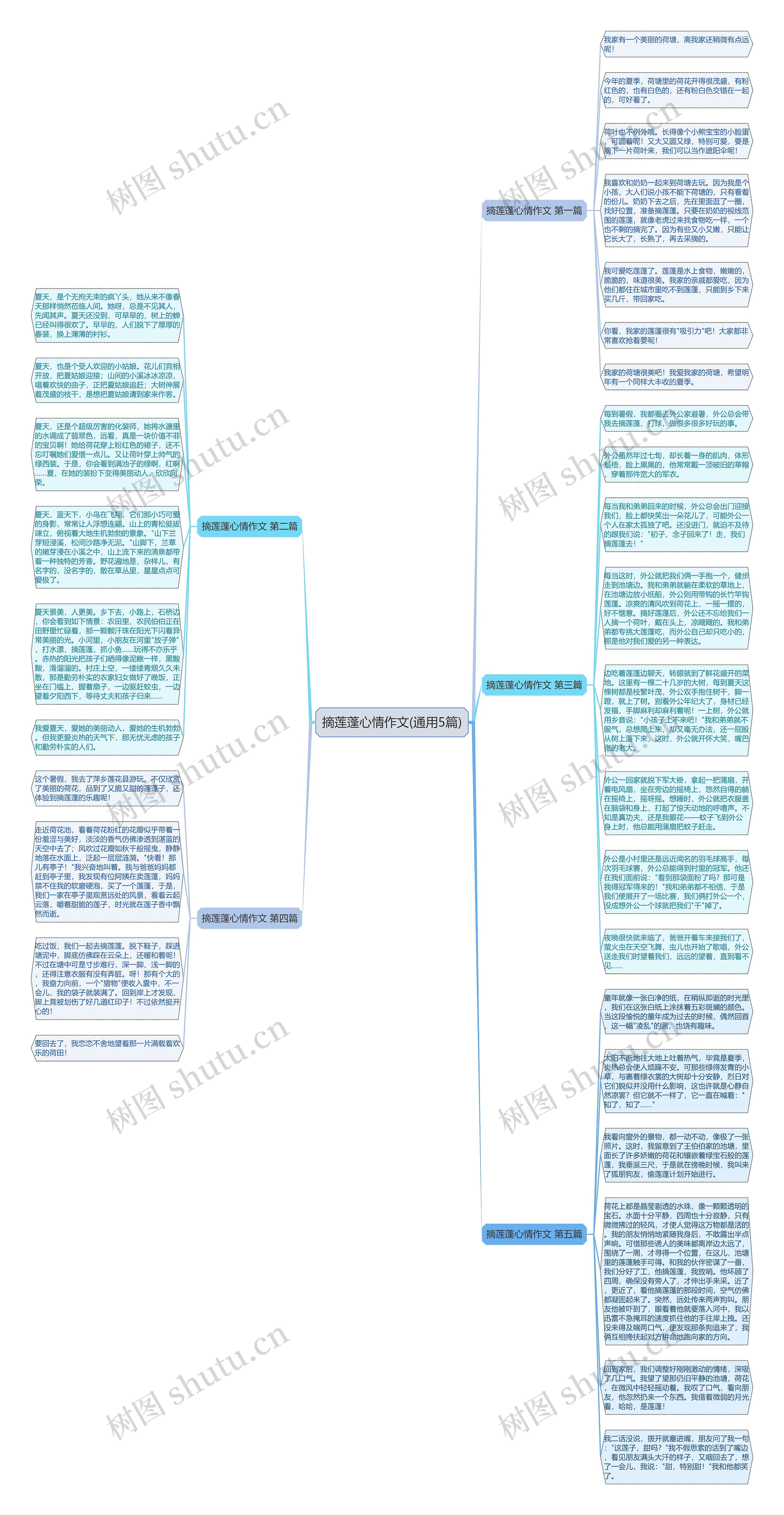 摘莲蓬心情作文(通用5篇)思维导图