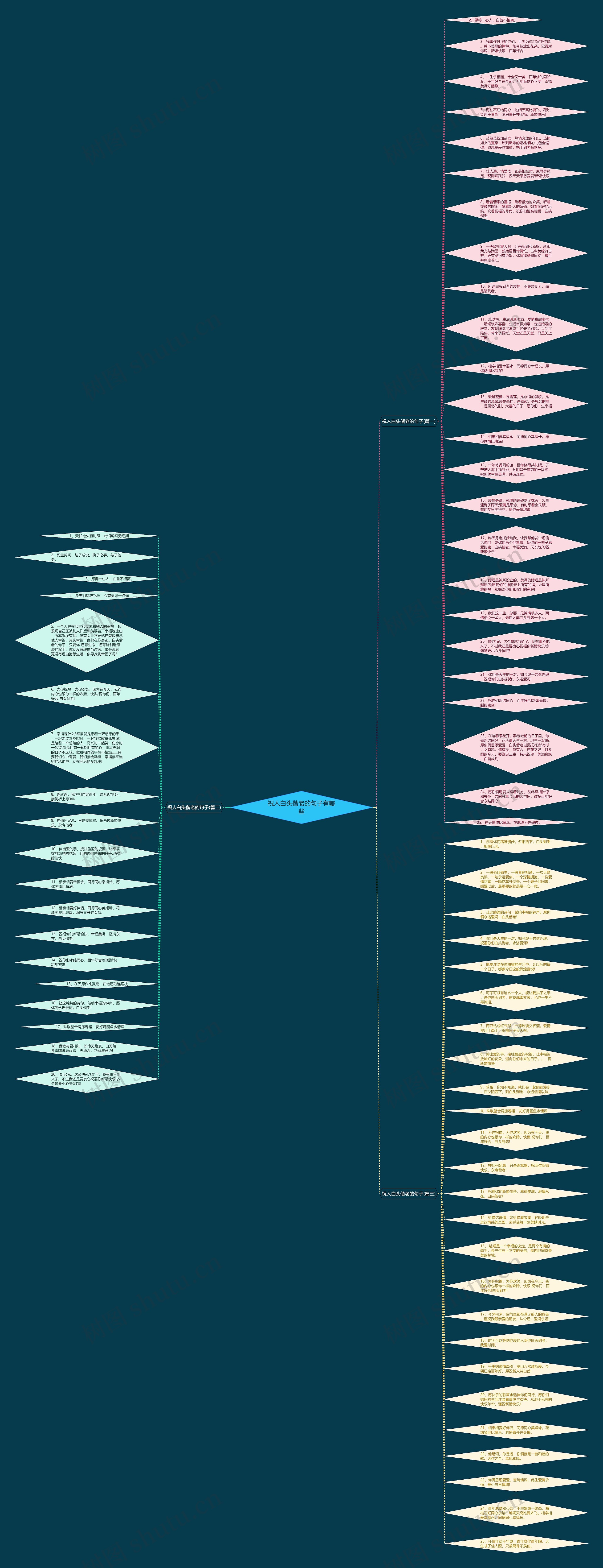 祝人白头偕老的句子有哪些思维导图