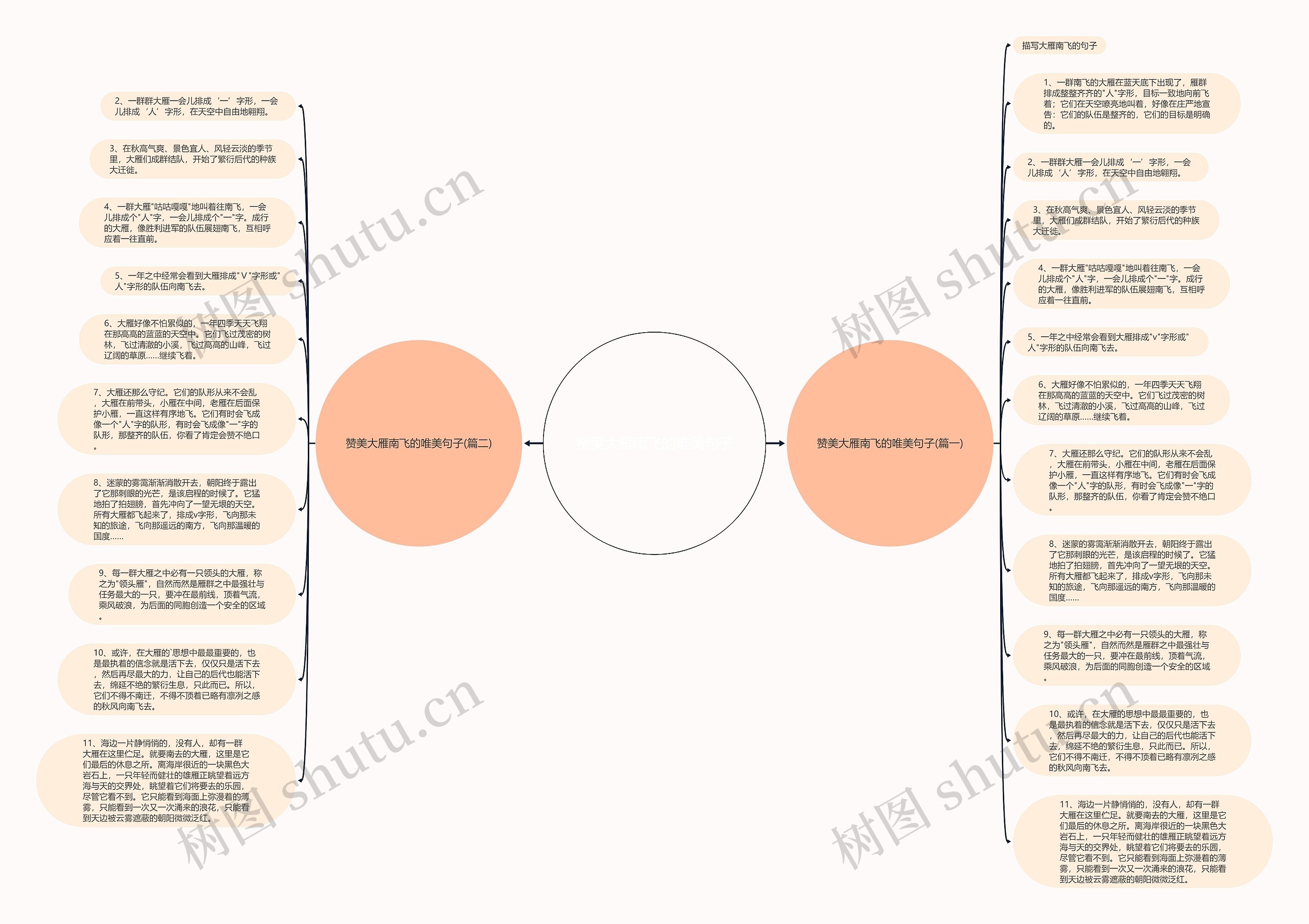 赞美大雁南飞的唯美句子思维导图