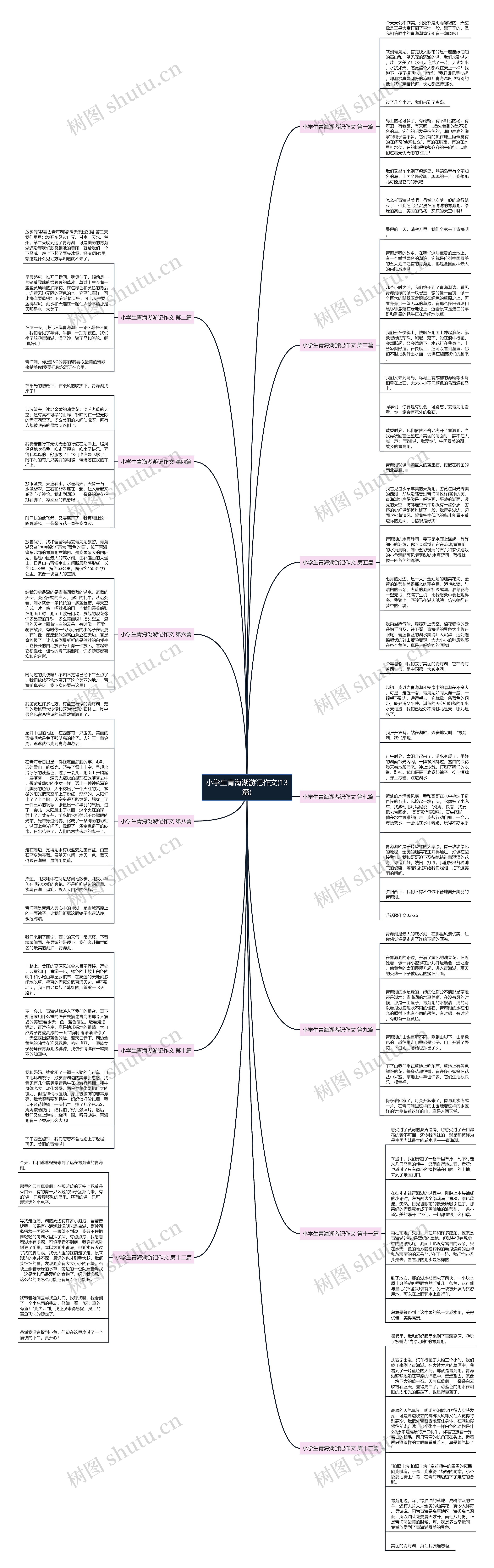 小学生青海湖游记作文(13篇)思维导图