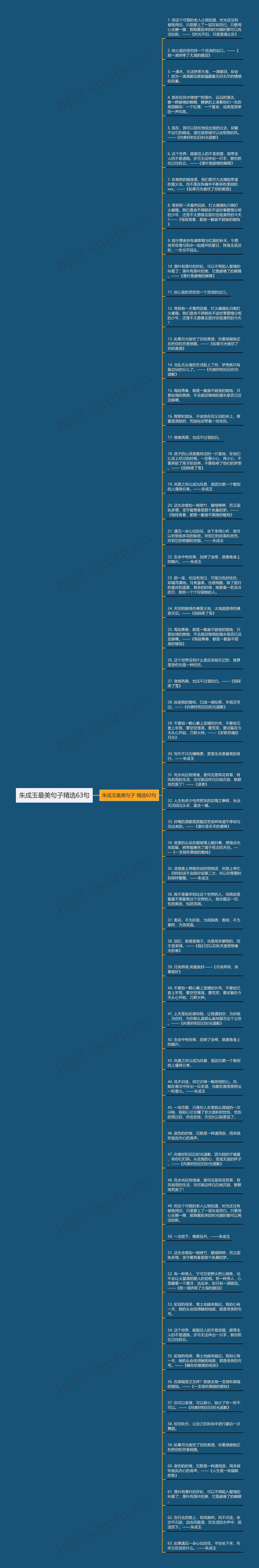 朱成玉最美句子精选63句思维导图