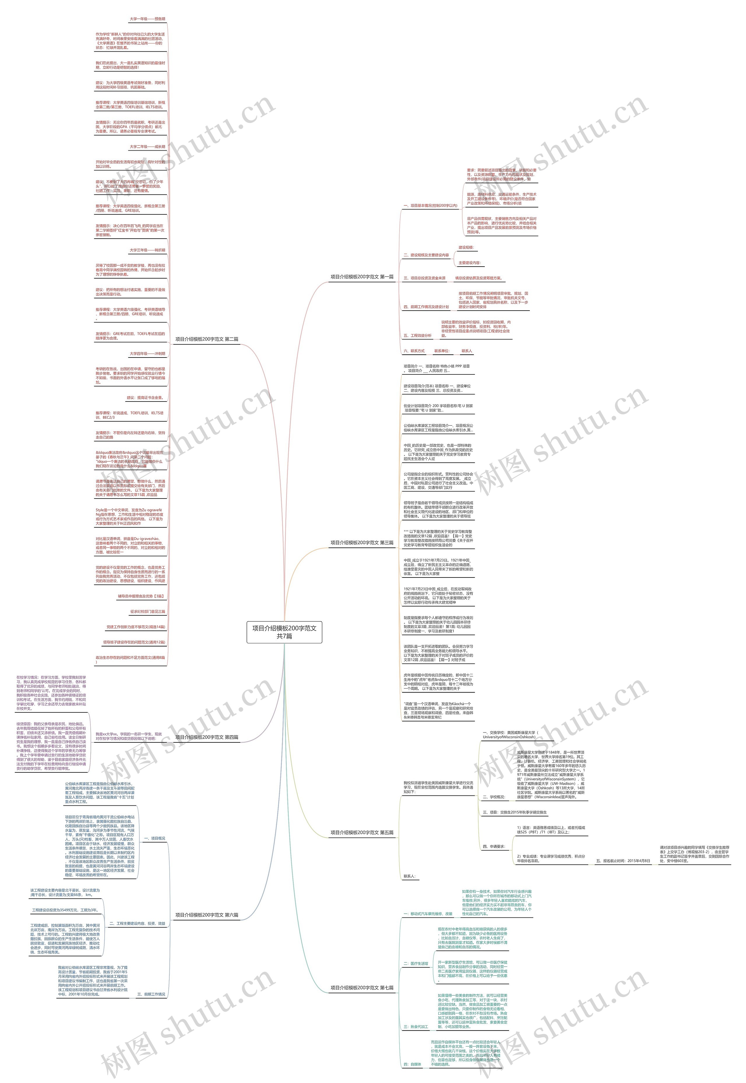 项目介绍200字范文共7篇思维导图