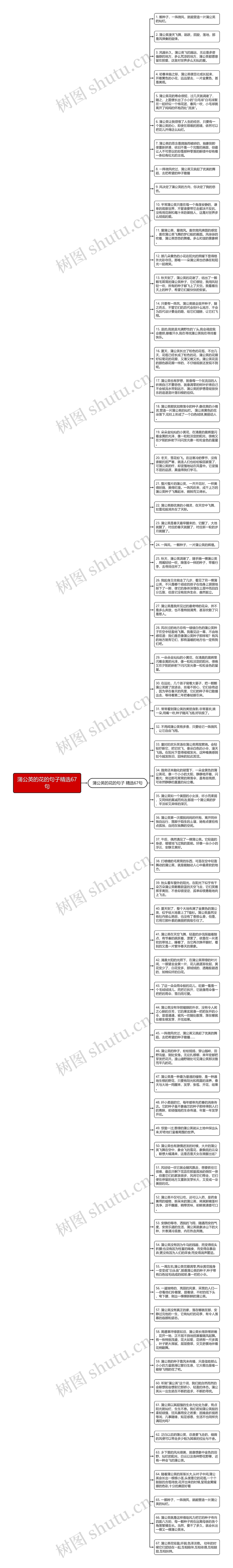 蒲公英的花的句子精选67句思维导图