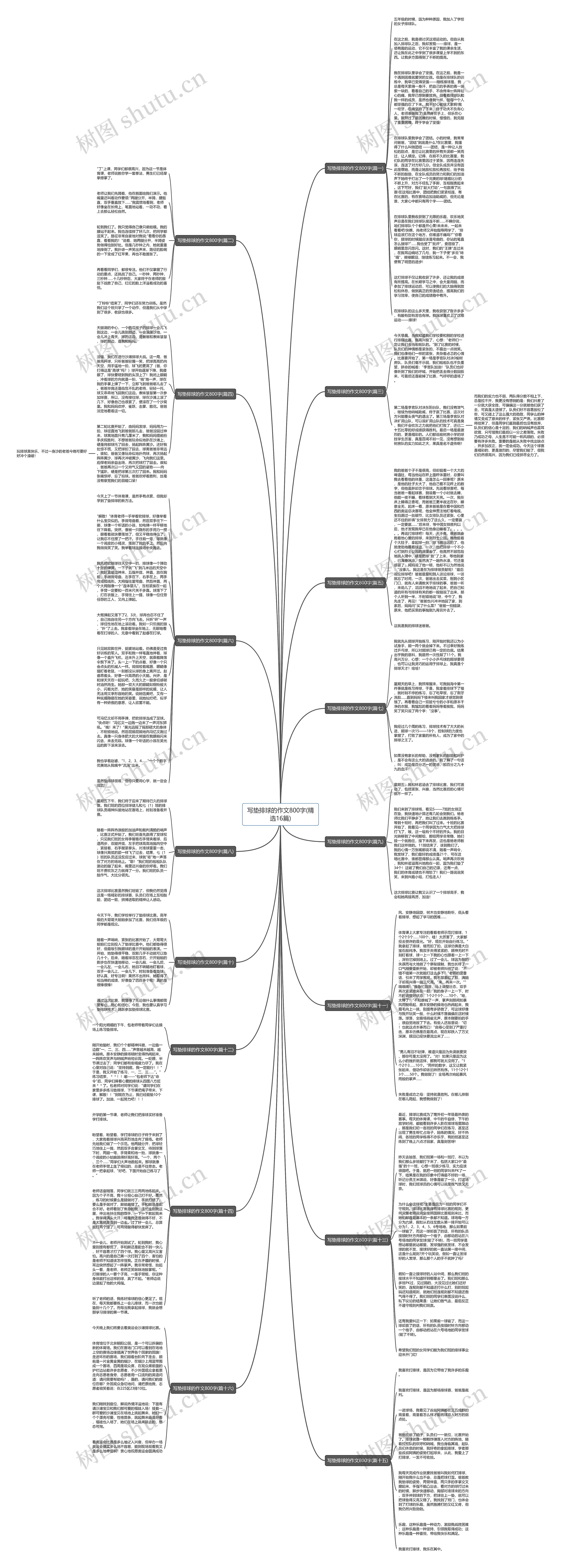 写垫排球的作文800字(精选16篇)思维导图