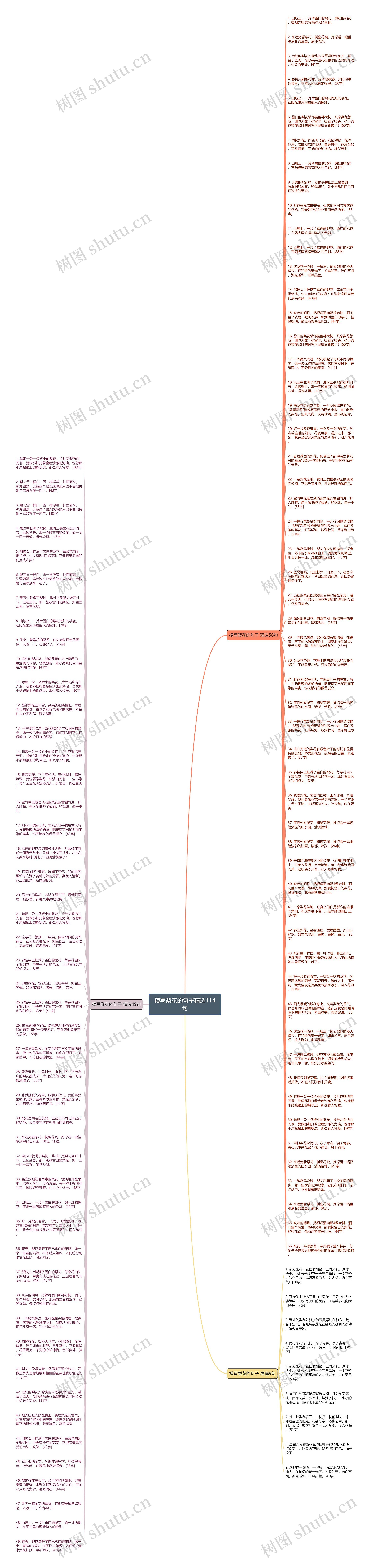 摸写梨花的句子精选114句思维导图