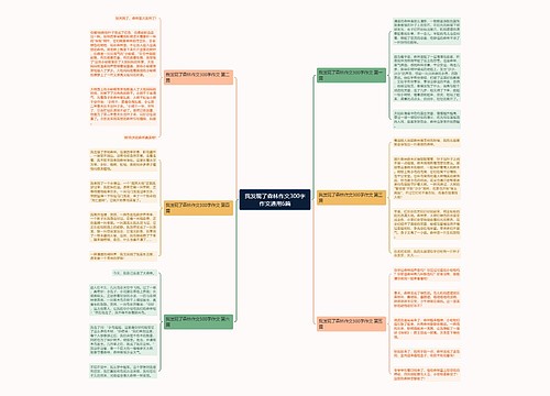 我发现了森林作文300字作文通用6篇