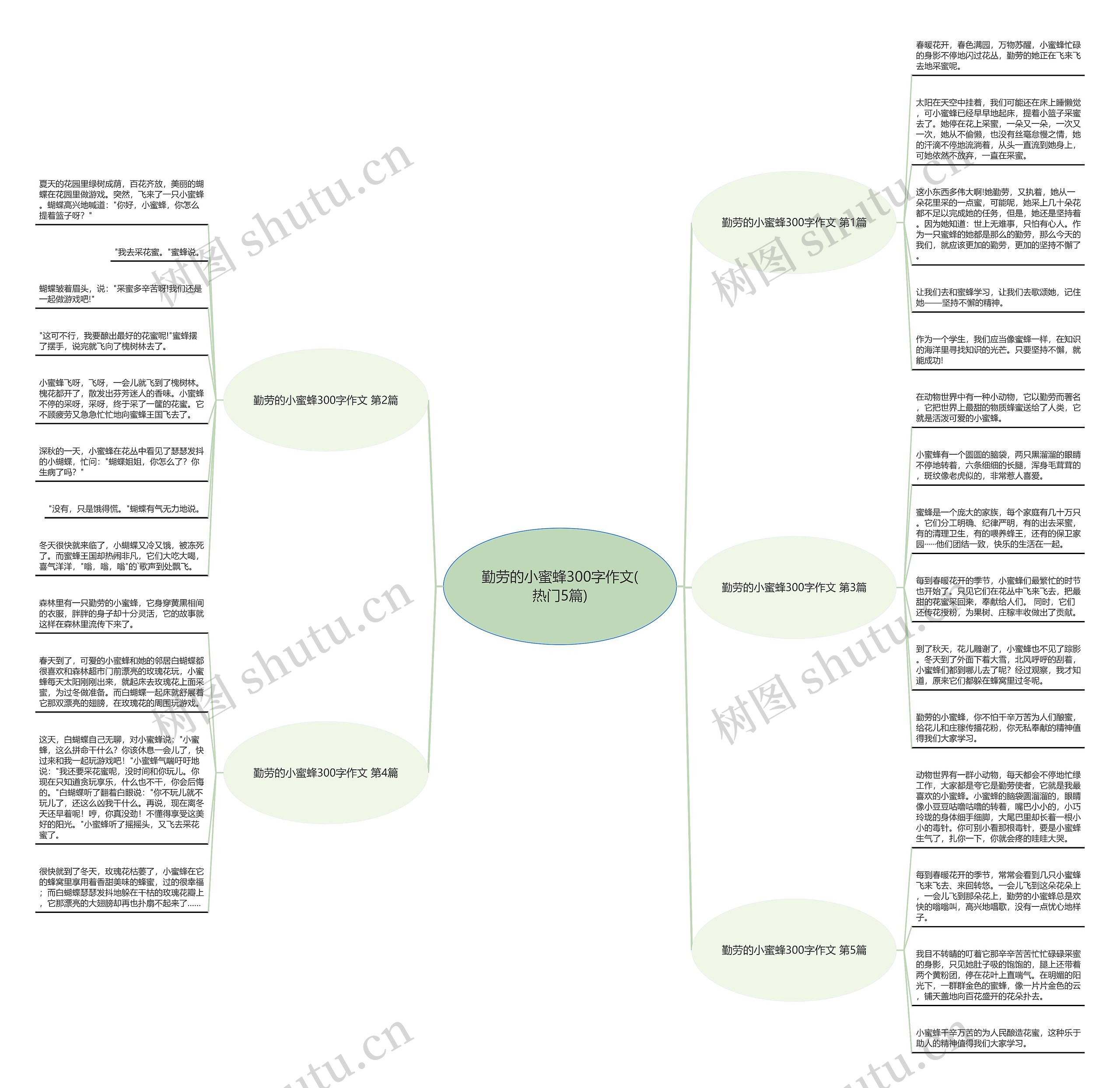 勤劳的小蜜蜂300字作文(热门5篇)思维导图
