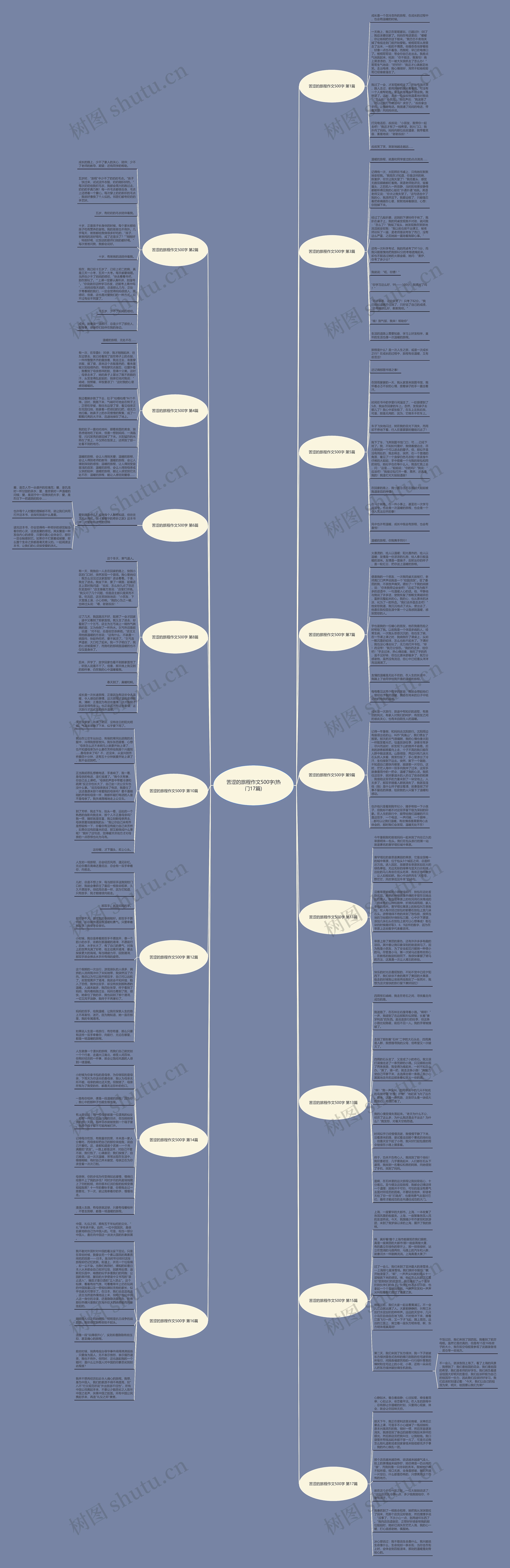 苦涩的旅程作文500字(热门17篇)思维导图