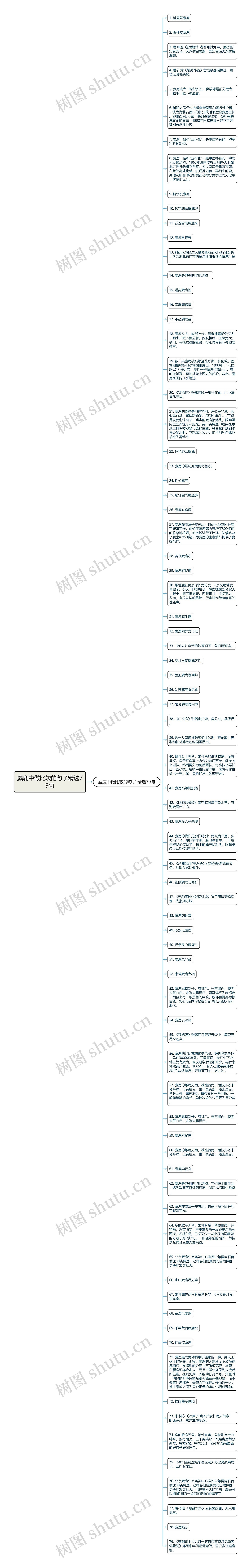 麋鹿中做比较的句子精选79句