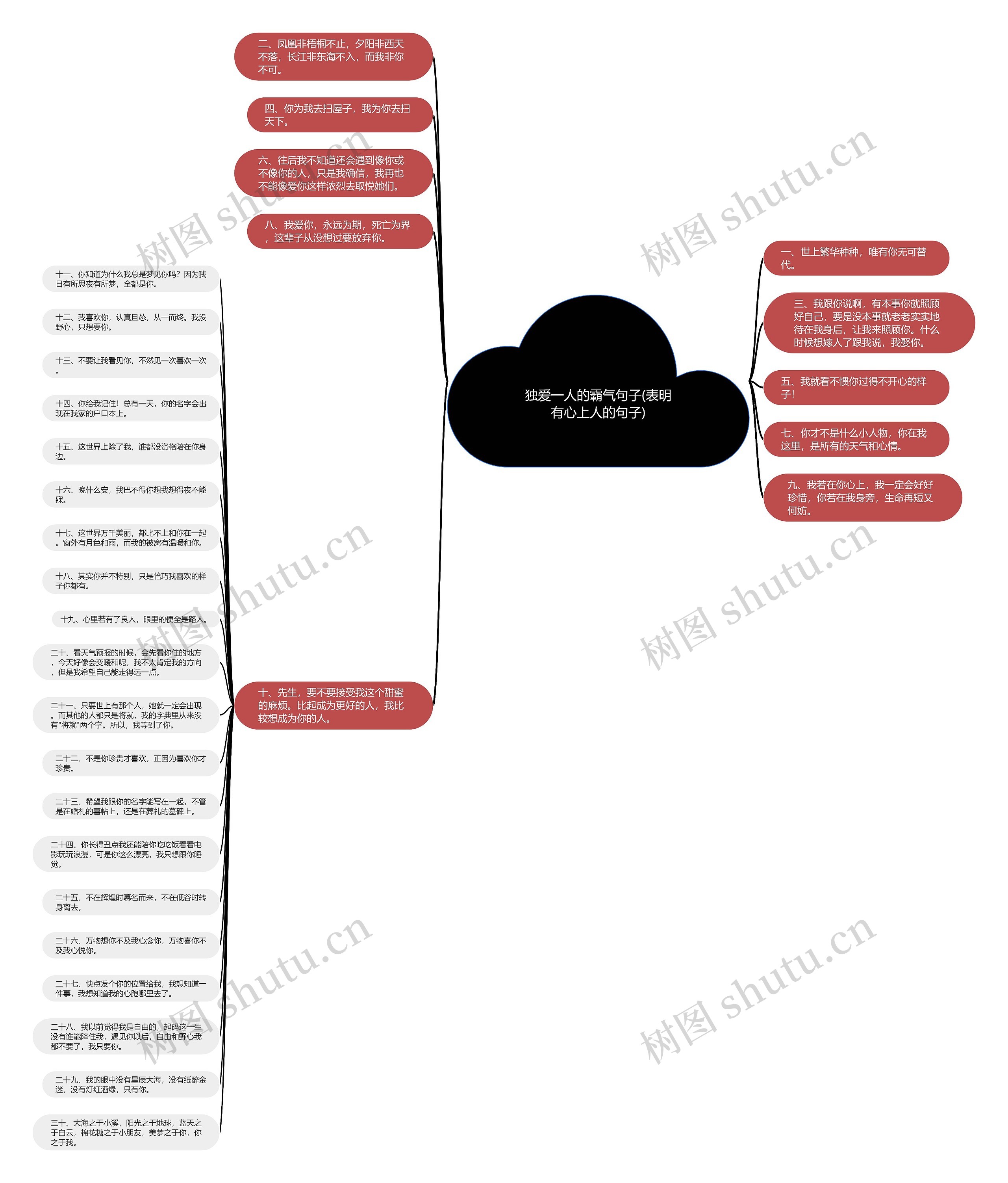 独爱一人的霸气句子(表明有心上人的句子)思维导图
