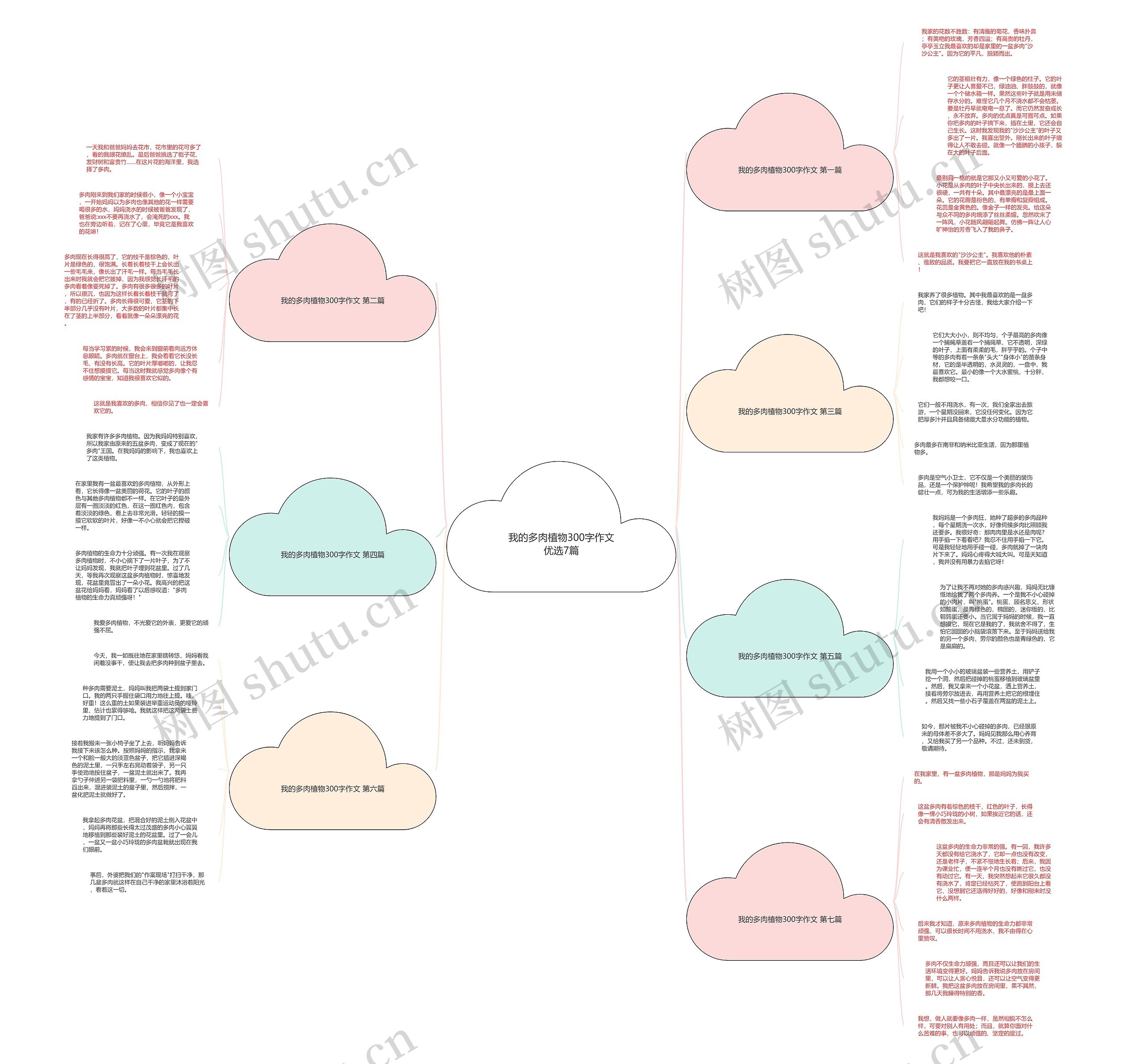 我的多肉植物300字作文优选7篇思维导图