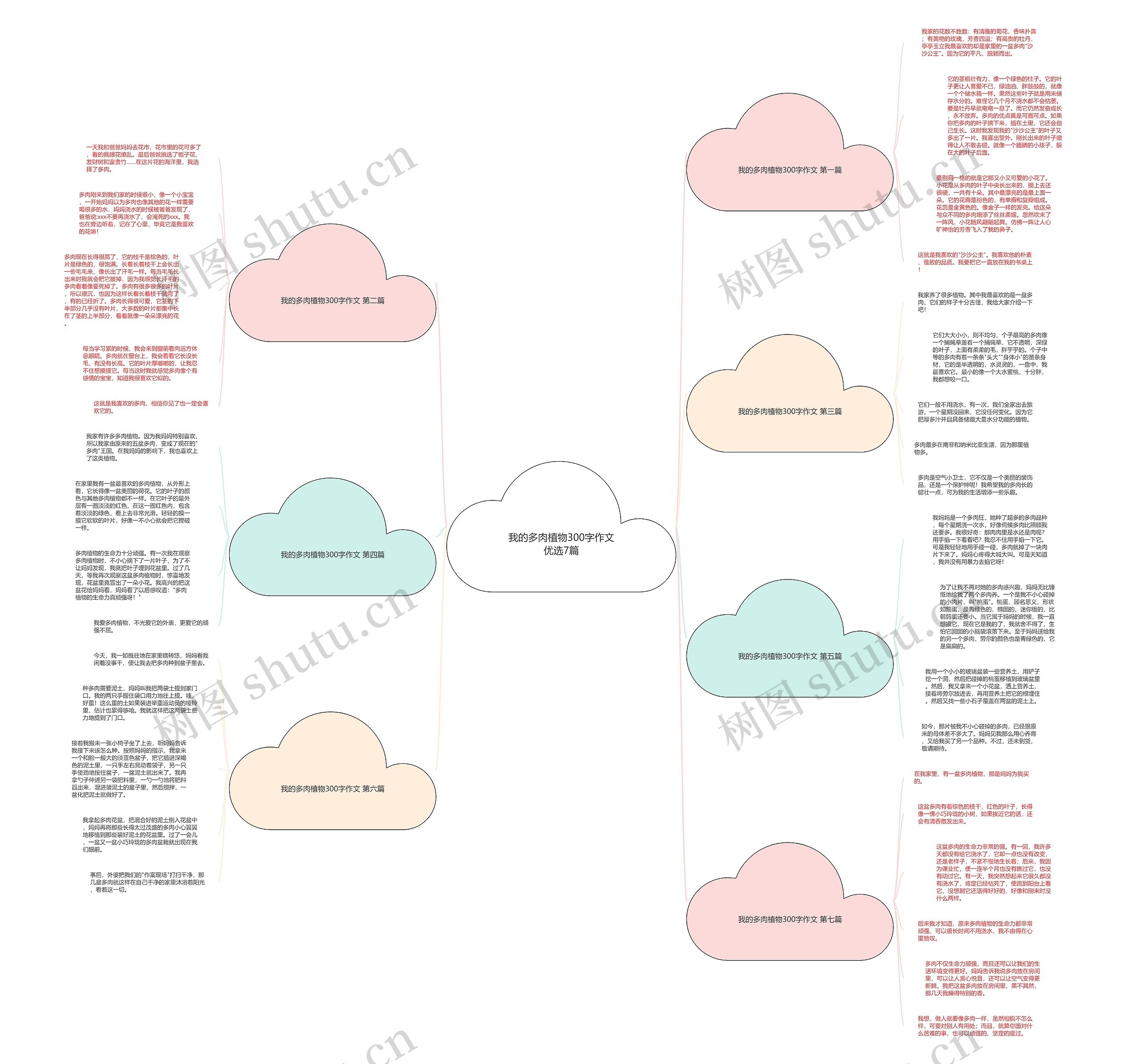 我的多肉植物300字作文优选7篇 我的多肉植物300字作文优选7篇