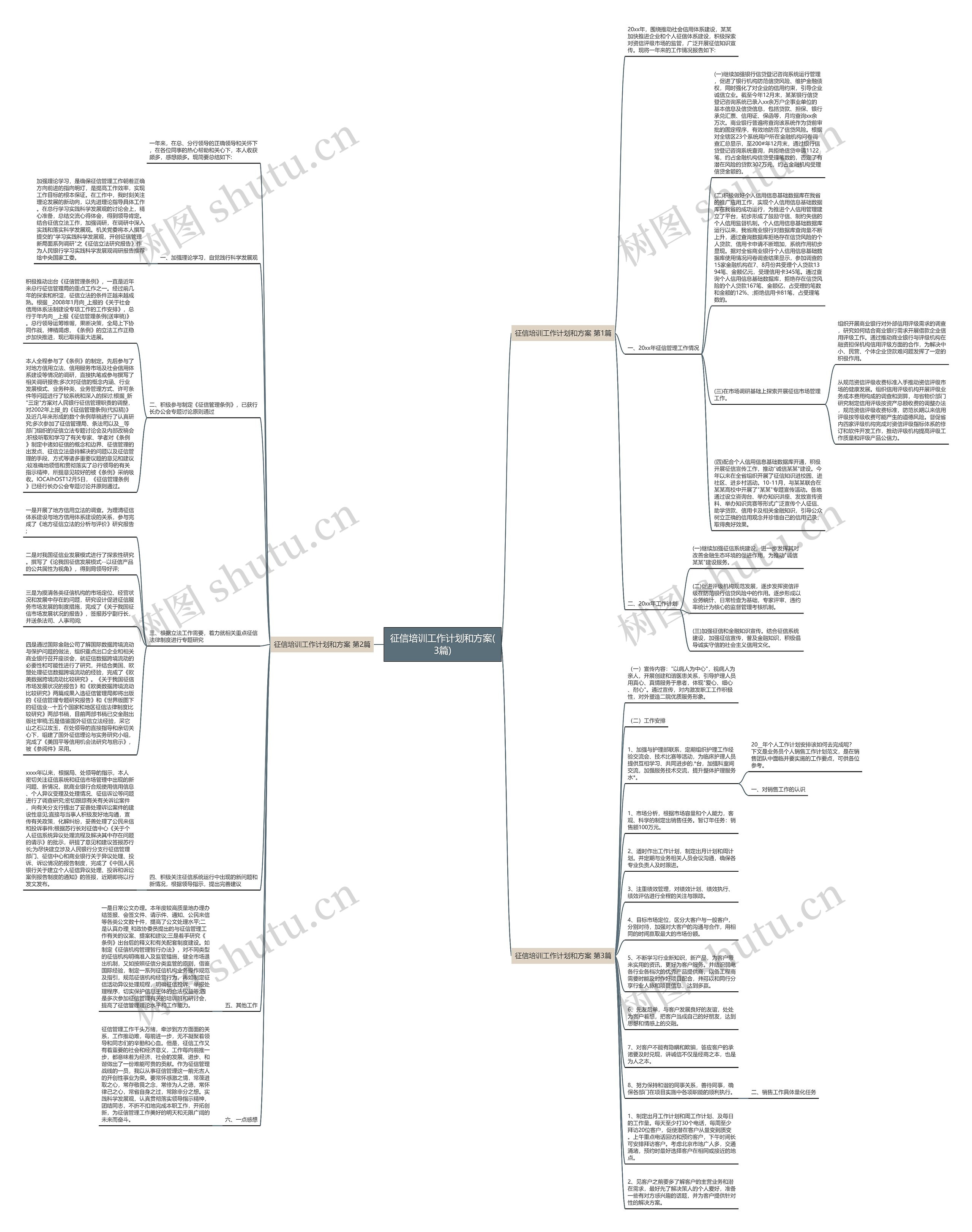 征信培训工作计划和方案(3篇)思维导图