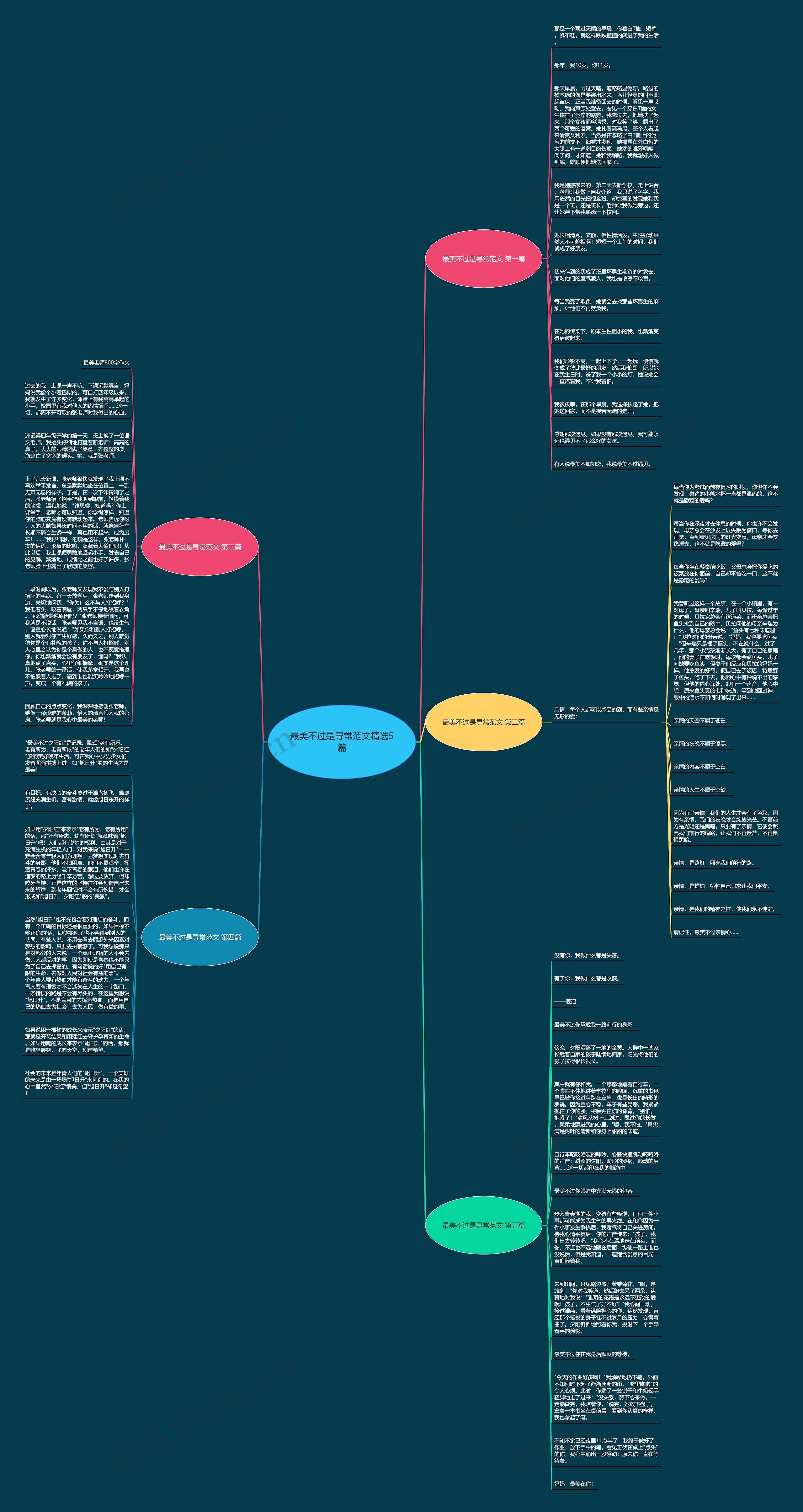 最美不过是寻常范文精选5篇思维导图